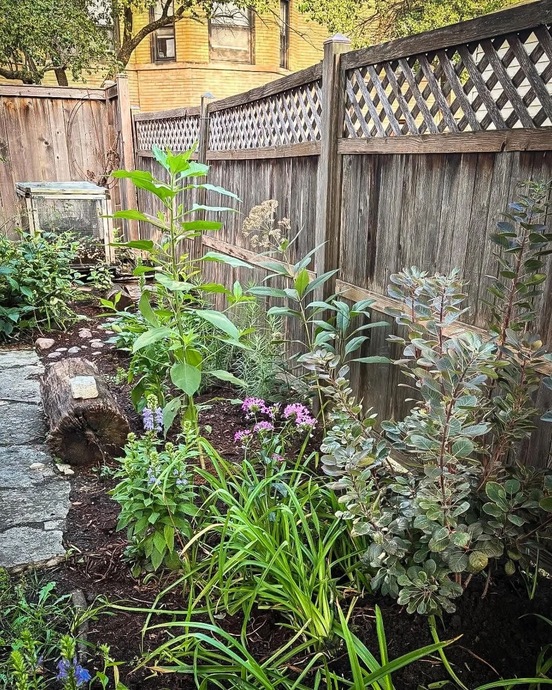 Small Chicago backyard with native plants, layered ecological design by Spoke Pockette.