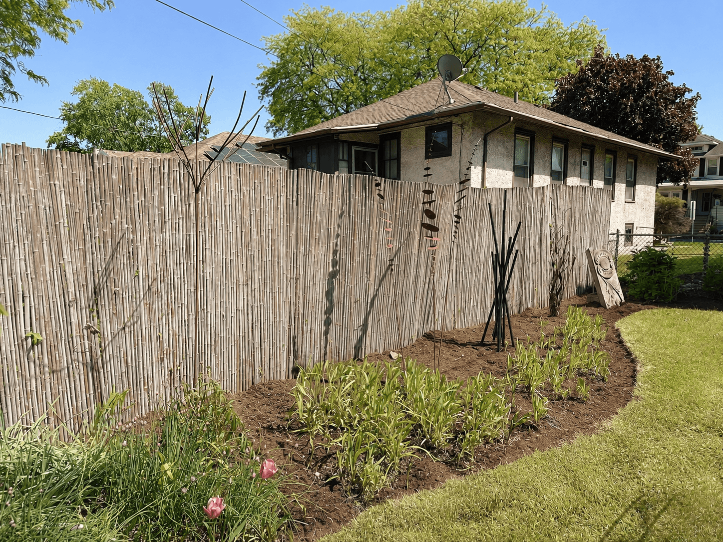 After removing weeds and non-natives, we added pollinator perennials and native grasses to bring more rhythm, color, and habitat into the backyard. Can't wait to see it blossom as the seasons tick on!