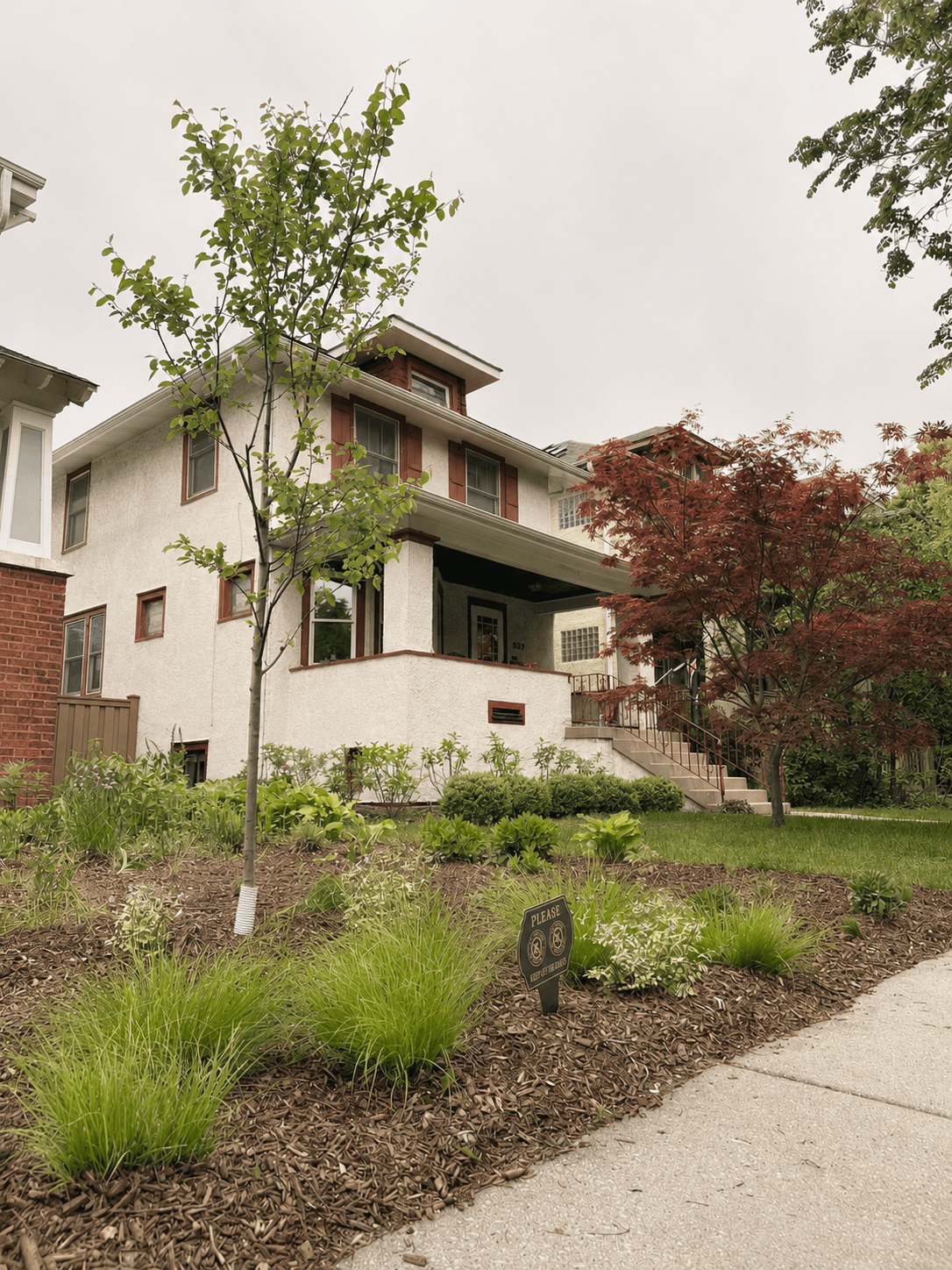 Oak Park front yard native garden in spring featuring no-mow landscaping, young shade trees, prairie grasses, layered perennial plantings, and natural mulch surrounding a classic Chicago bungalow.