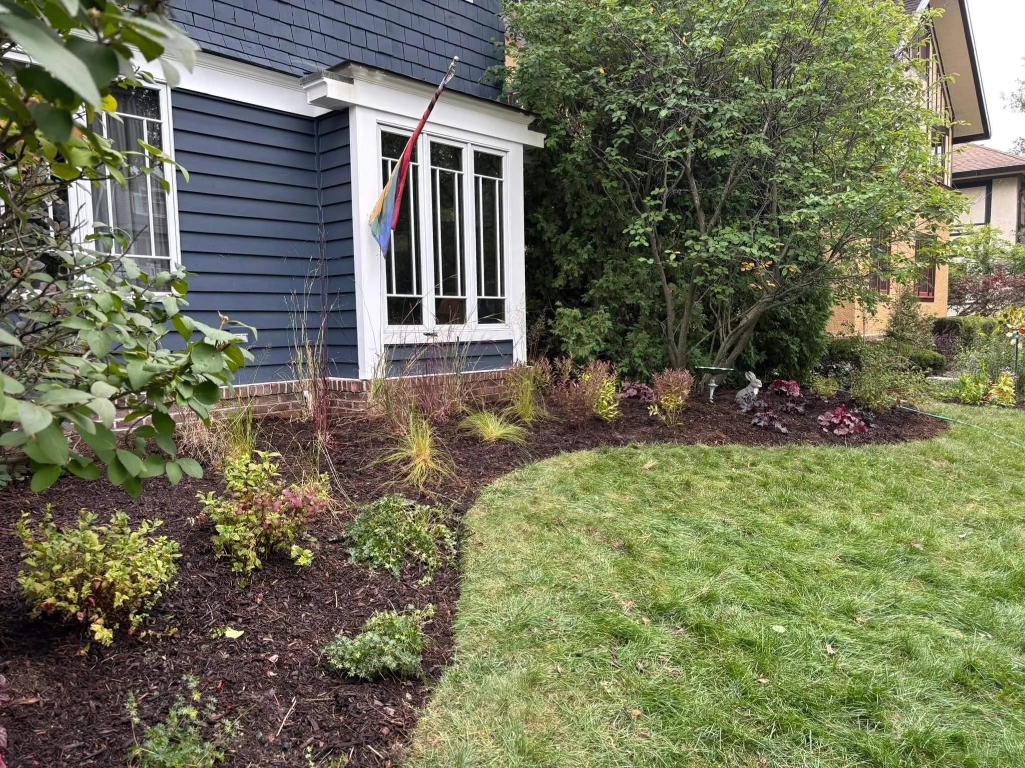 Establishing native front yard garden in Chicago with perennials and grasses beginning to fill in newly shaped beds