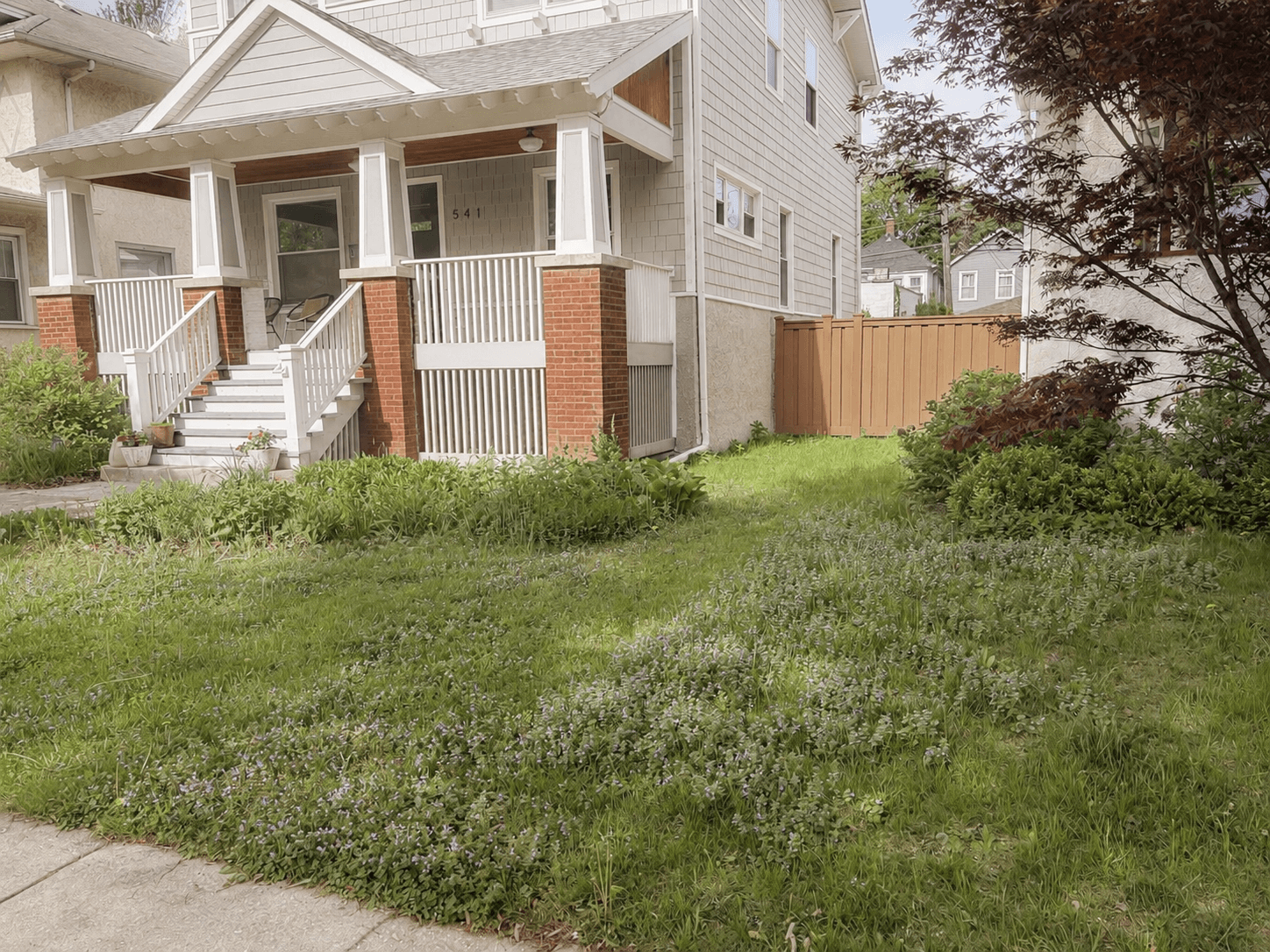 Oak Park Lawn Overthrow | Before: a tired patch of lawn with good bones and a lot of untapped potential.