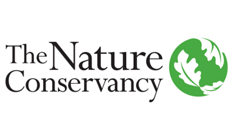 Toyin-Ann Yerifor - The Nature Conservancy.png