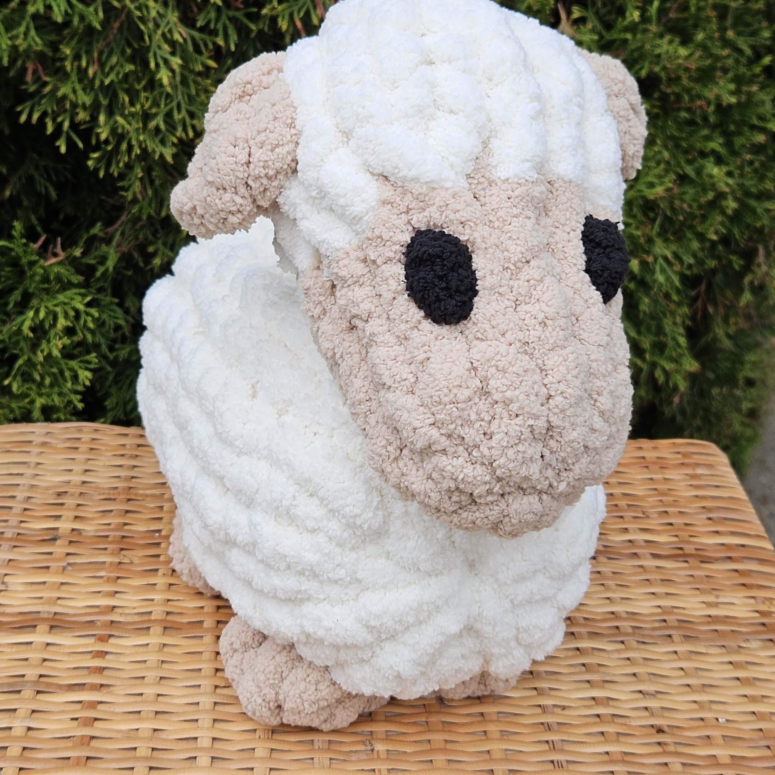 Stella the Sheep
