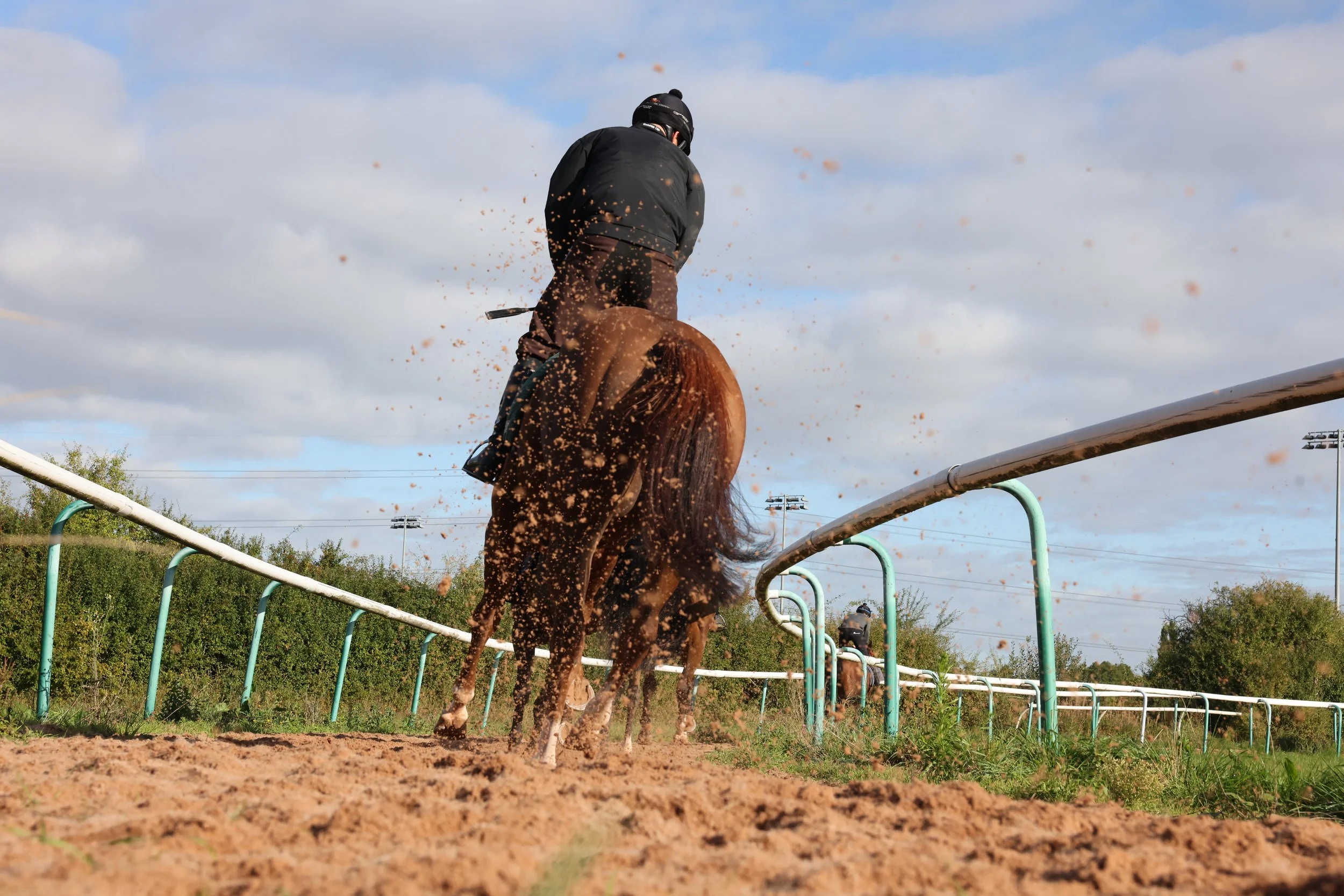 LVM 699 Scott Dixon.JPG