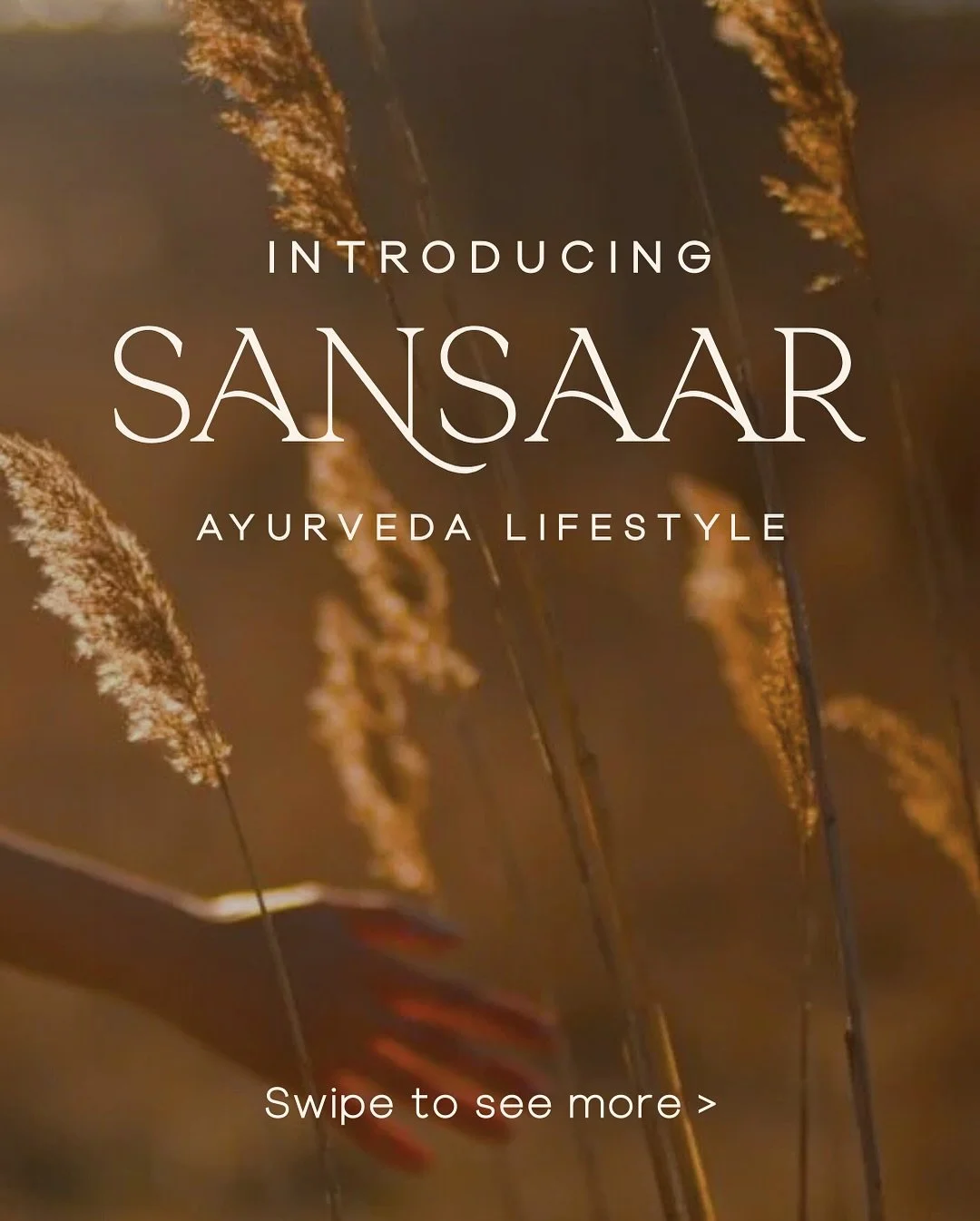 Ayurveda is a practical philosophy rooted in wisdom which has been around for thousands of years.  Our new branding has been inspired by this timeless wisdom of how the elements of nature are present within us.  Each element in the logo represents ou
