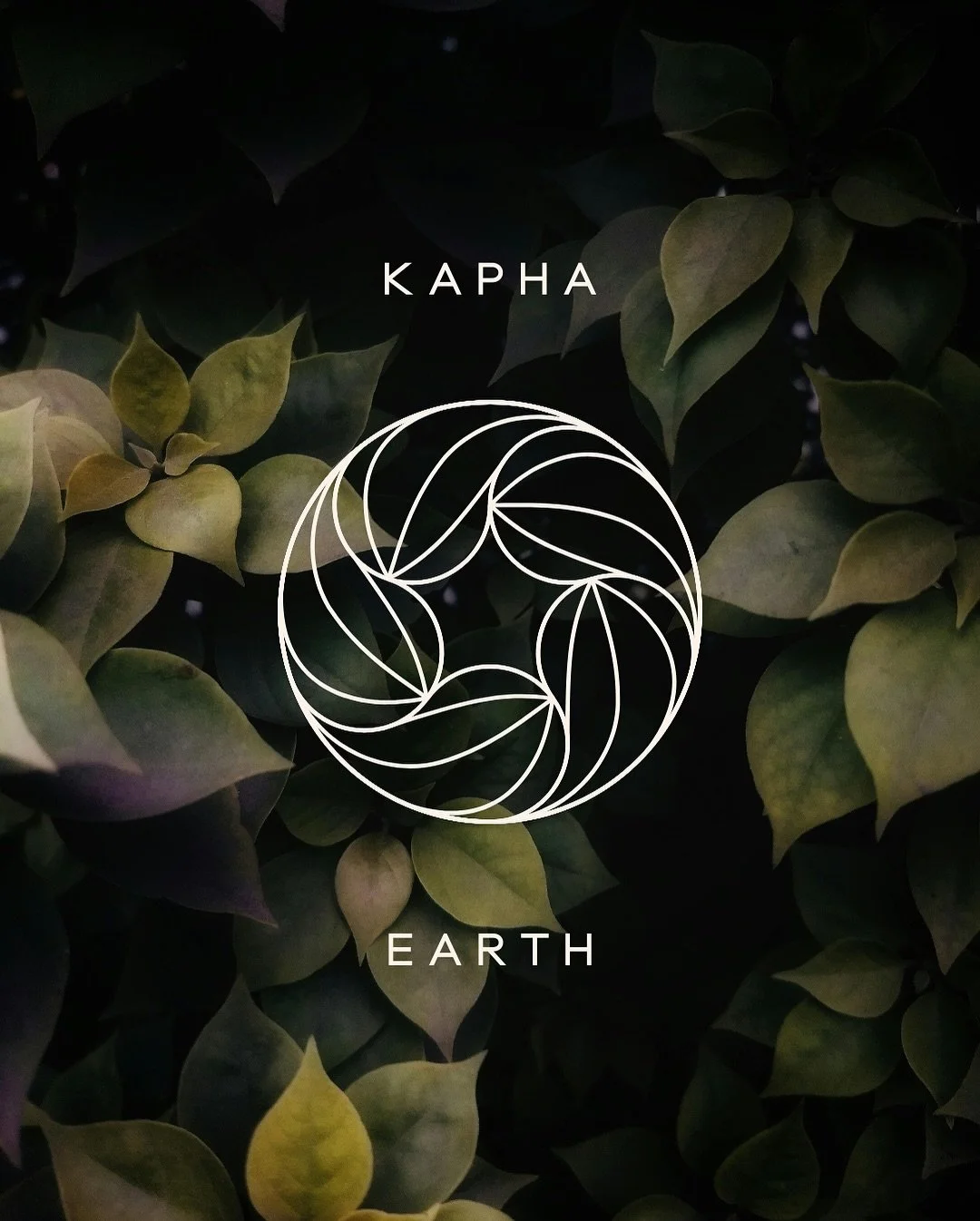 The properties of Kapha dosha include water, and earth.  According to the principles of ayurveda it is responsible for stability, structure, lubrication in the body, supporting the physical body. 

When these elements are balanced you will experience