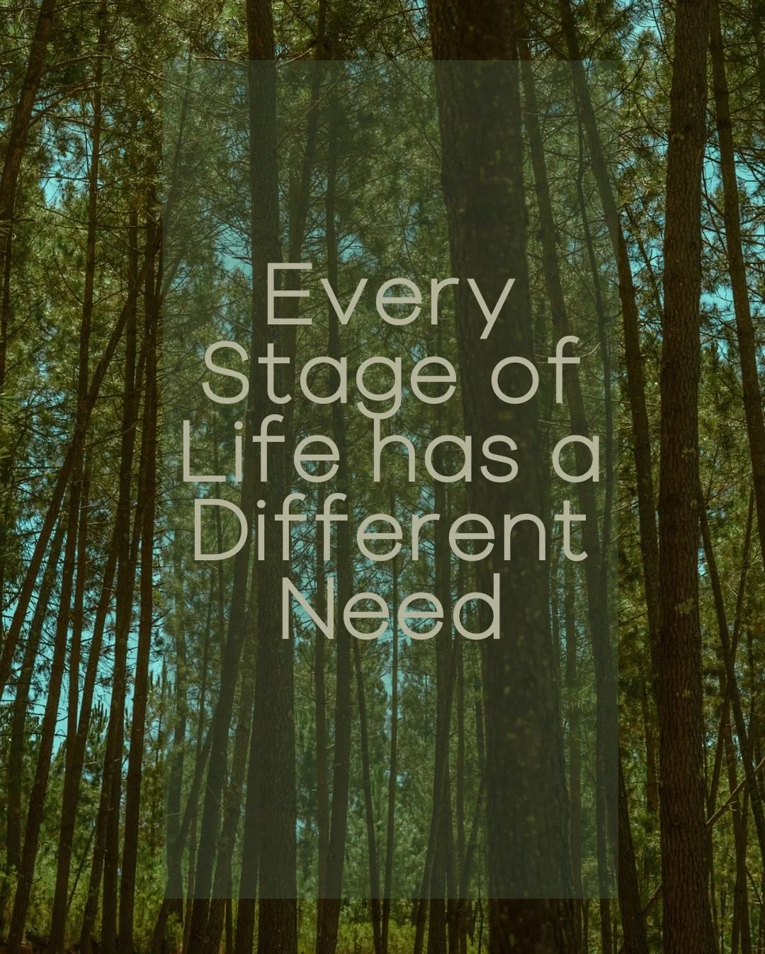 We move through life in seasons, much like nature&rsquo;s rhythm.

In childhood, the body focuses on building growth, immunity, and strong foundations.

In adulthood, fire takes the lead, supporting digestion, drive, and purpose.

Later in life, the 