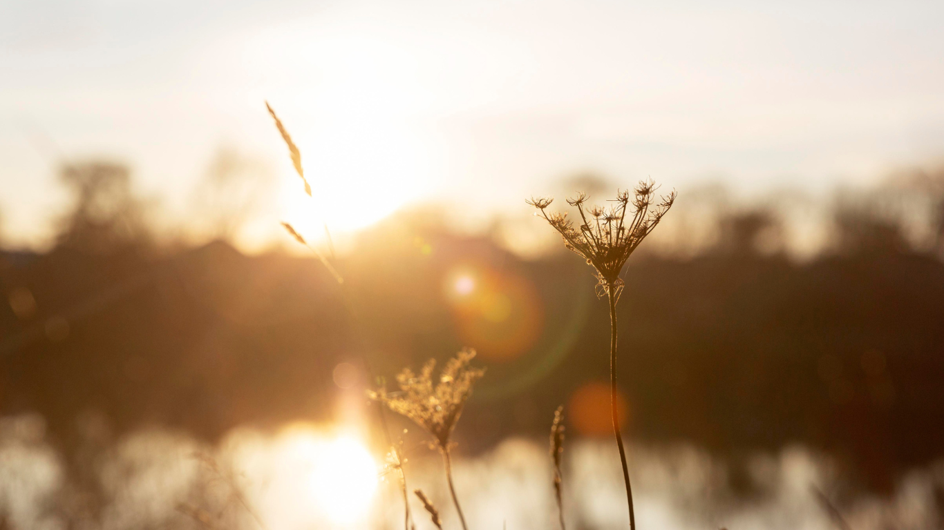 Contact 3 — Four Corners Counseling