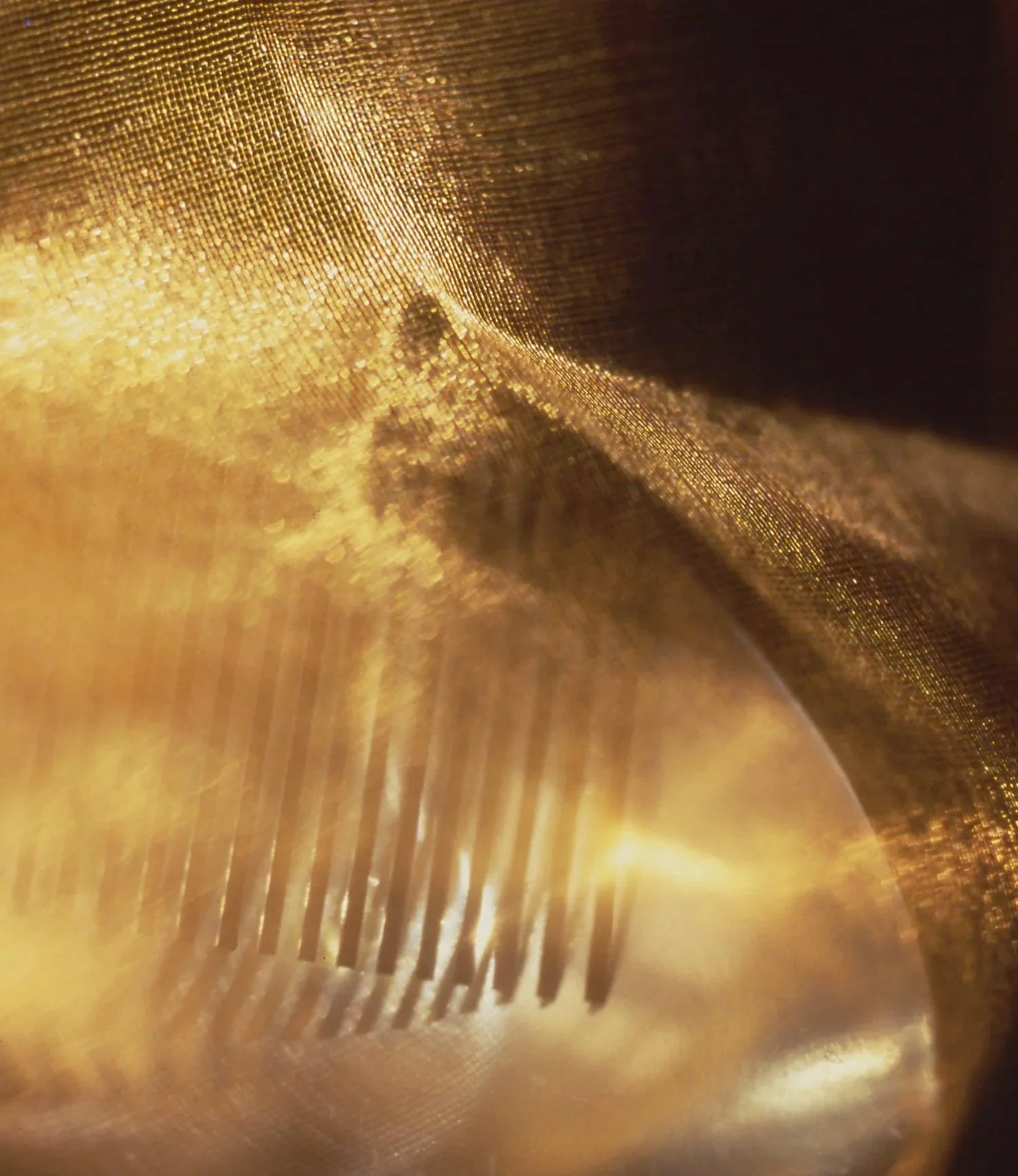 Gold Silk and Graining Comb