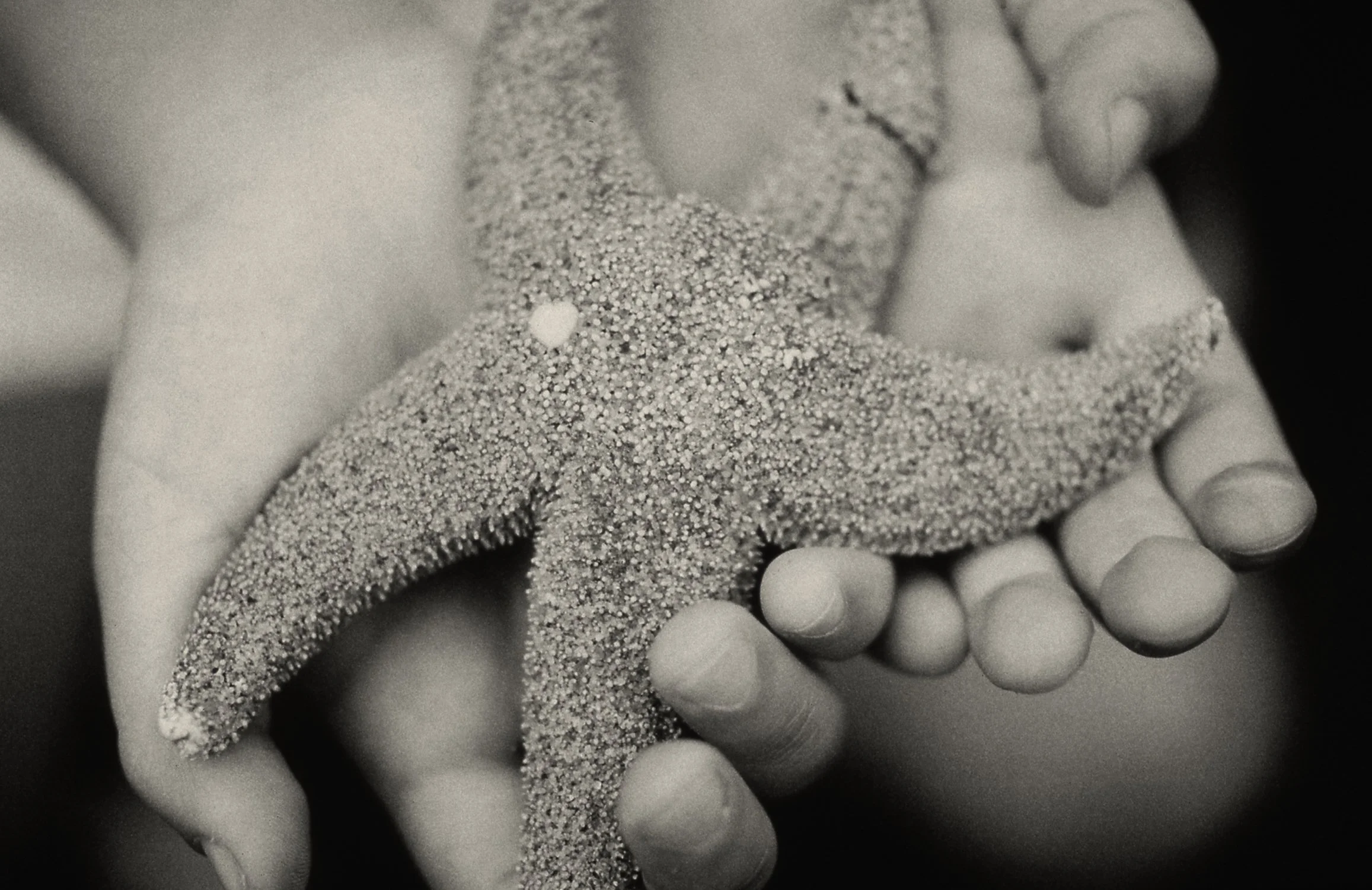Broken Starfish