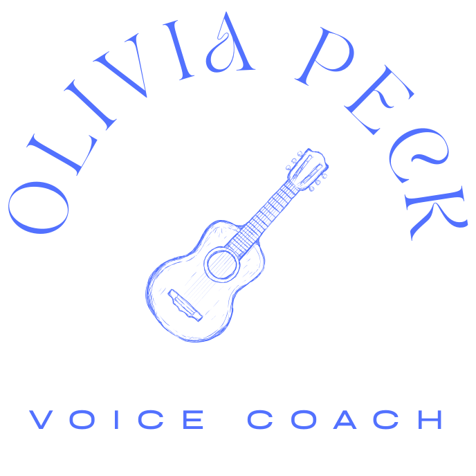 30 Minute Voice Lesson