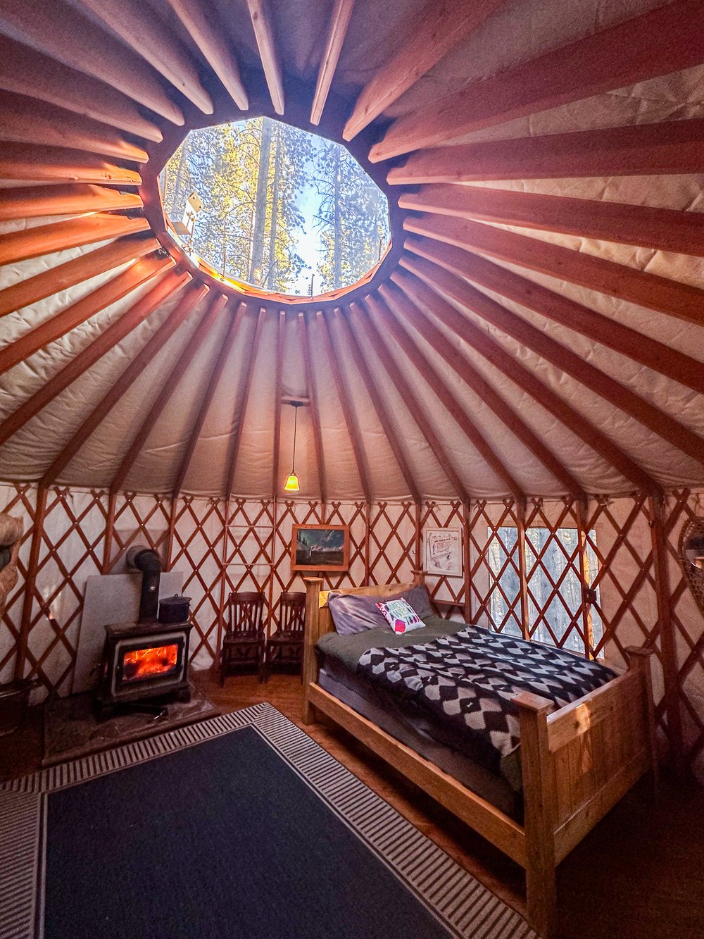 INT Yurt with Skylight.jpg