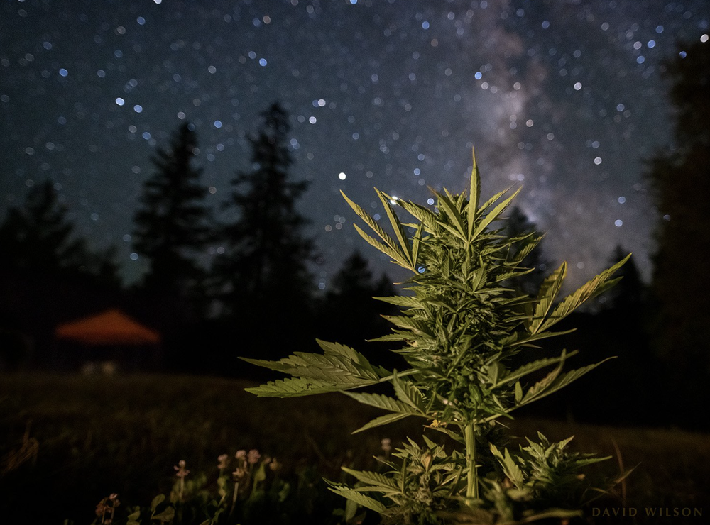 Screenshot 2024-07-06 at 5.09.07 PM.png