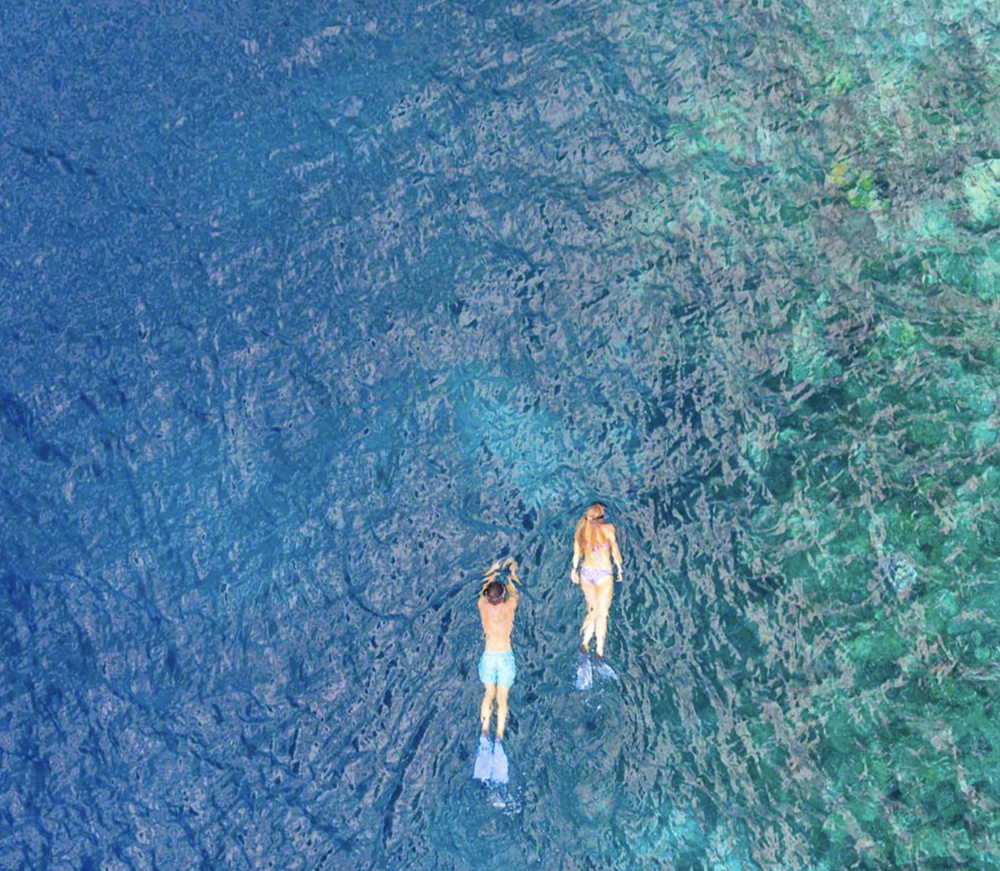 Screenshot 2024-08-04 at 9.28.47 AM.png