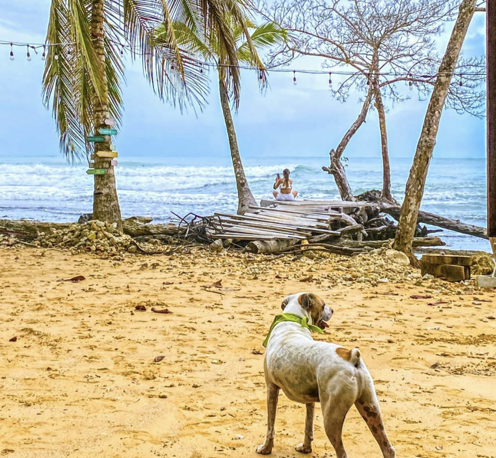 Screenshot 2024-08-04 at 9.52.26 AM.png