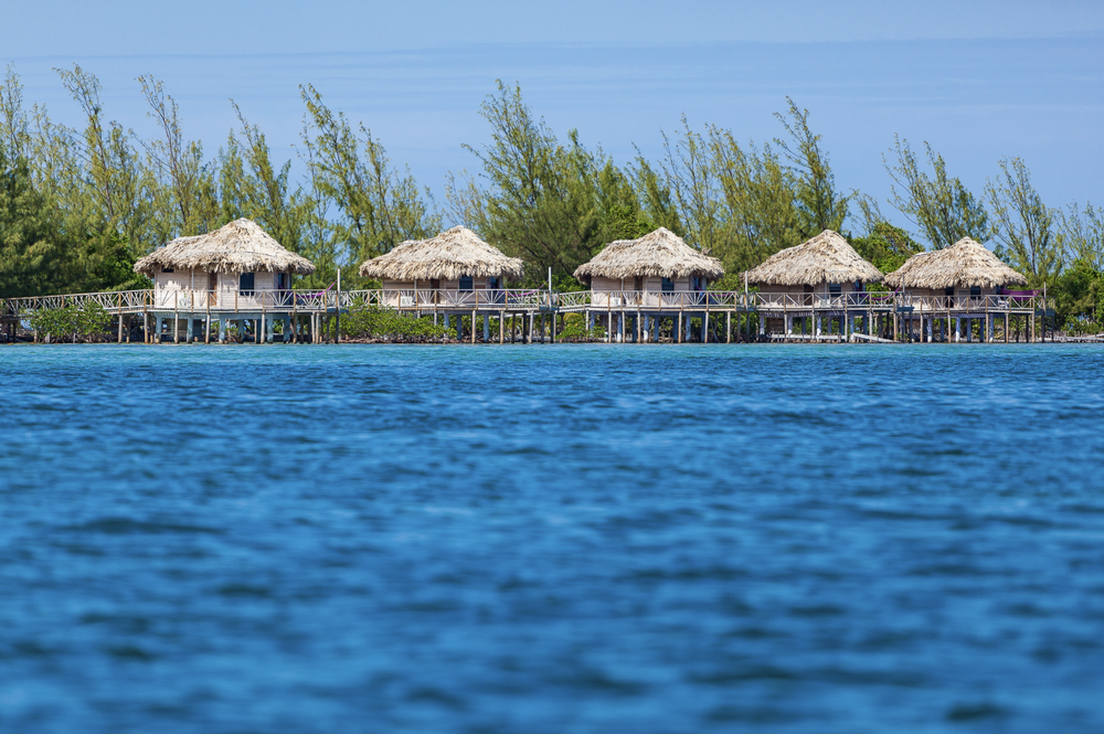 Screenshot 2024-08-04 at 10.14.46 AM.png