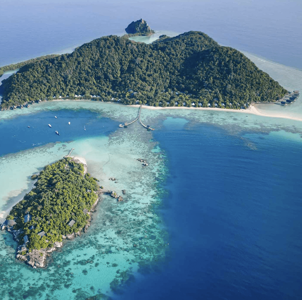 Screenshot 2024-08-04 at 11.03.41 AM.png