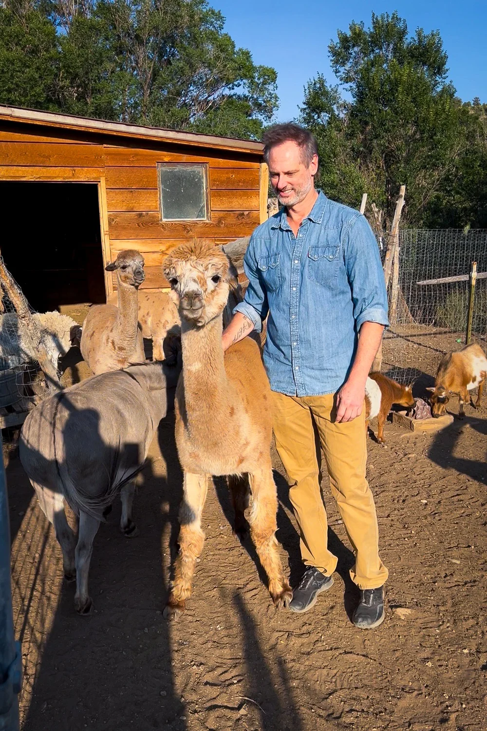 Bobby and Alpaca.jpg