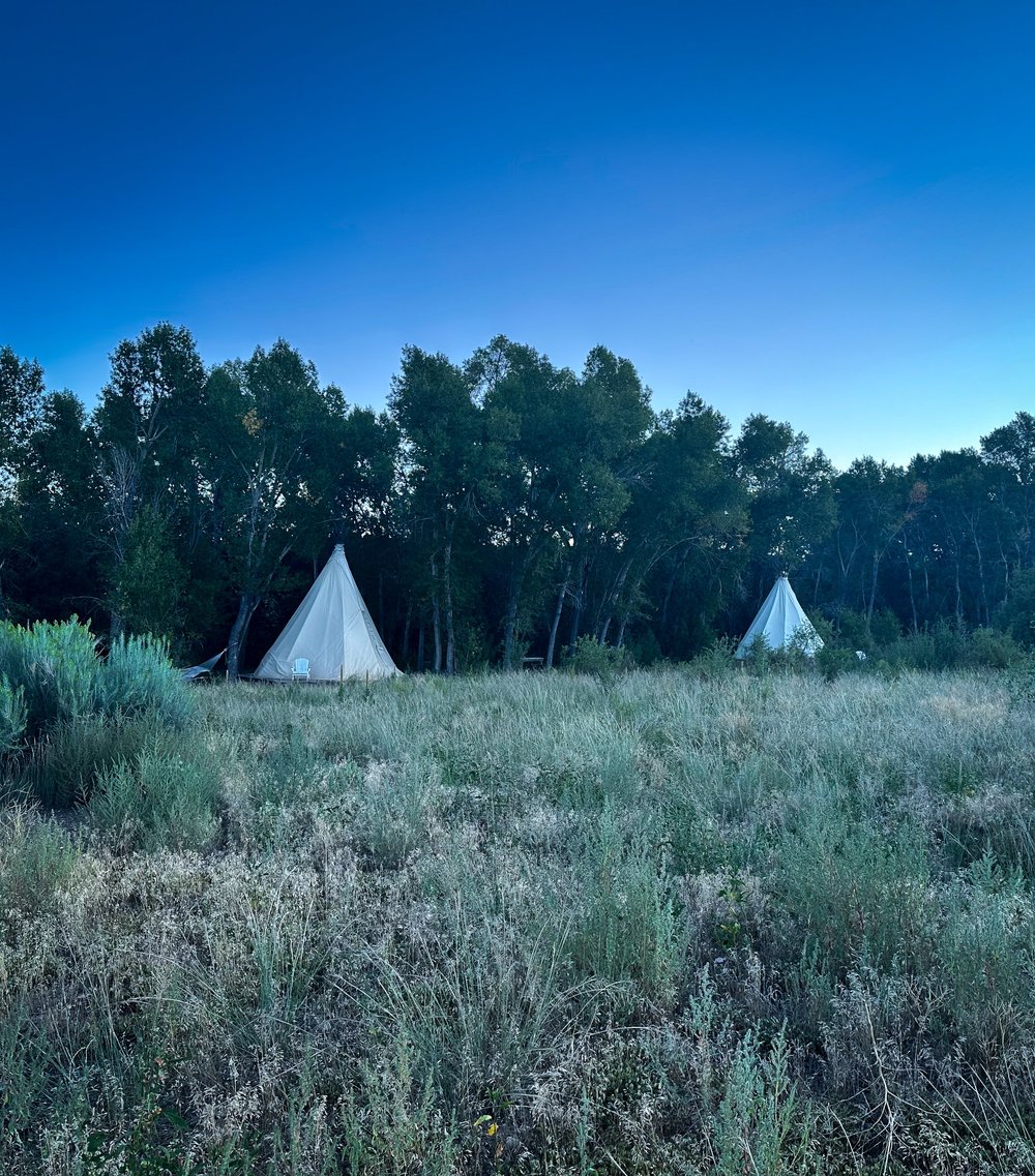 tipis.jpg