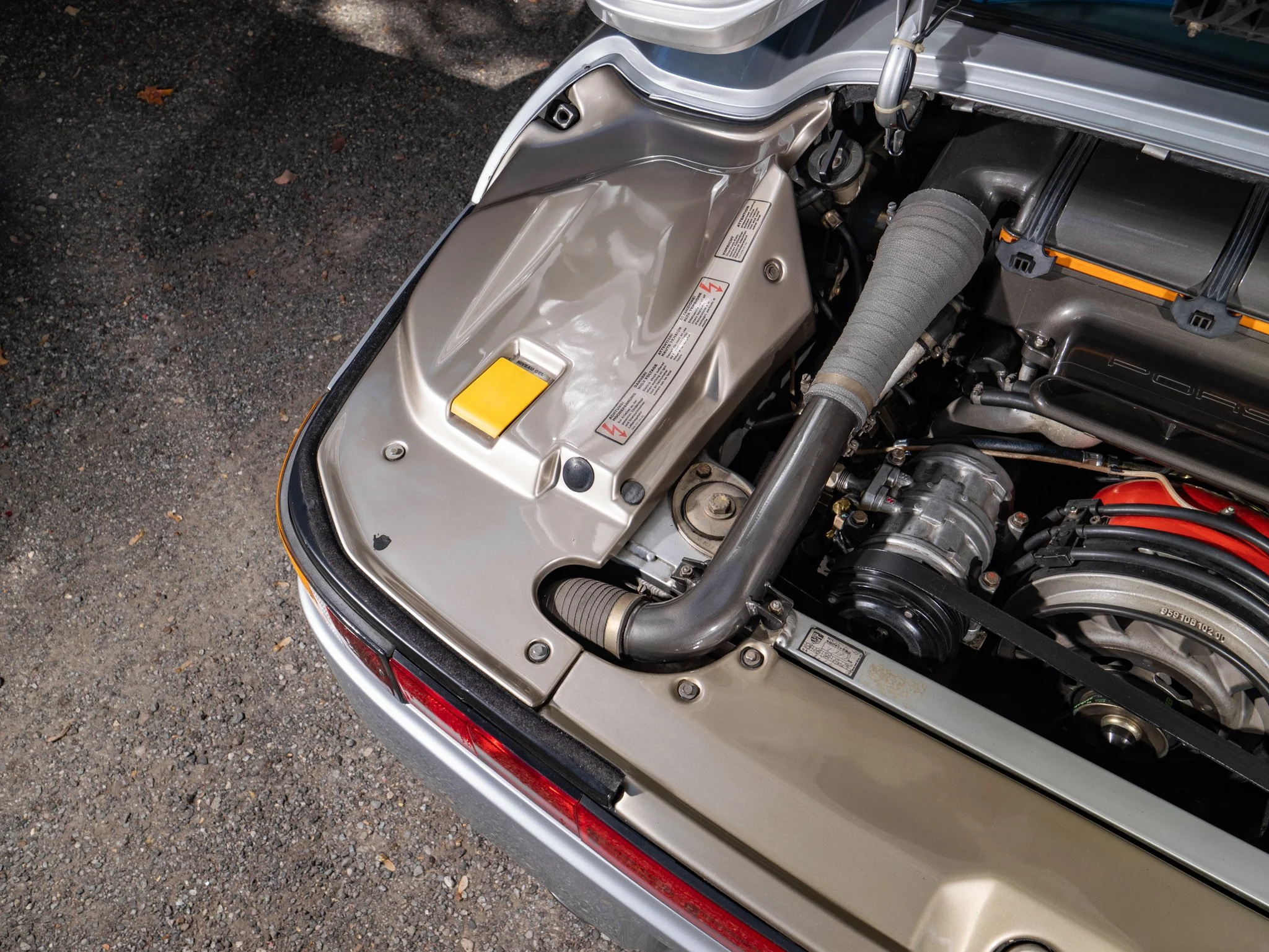 959 (247).jpg