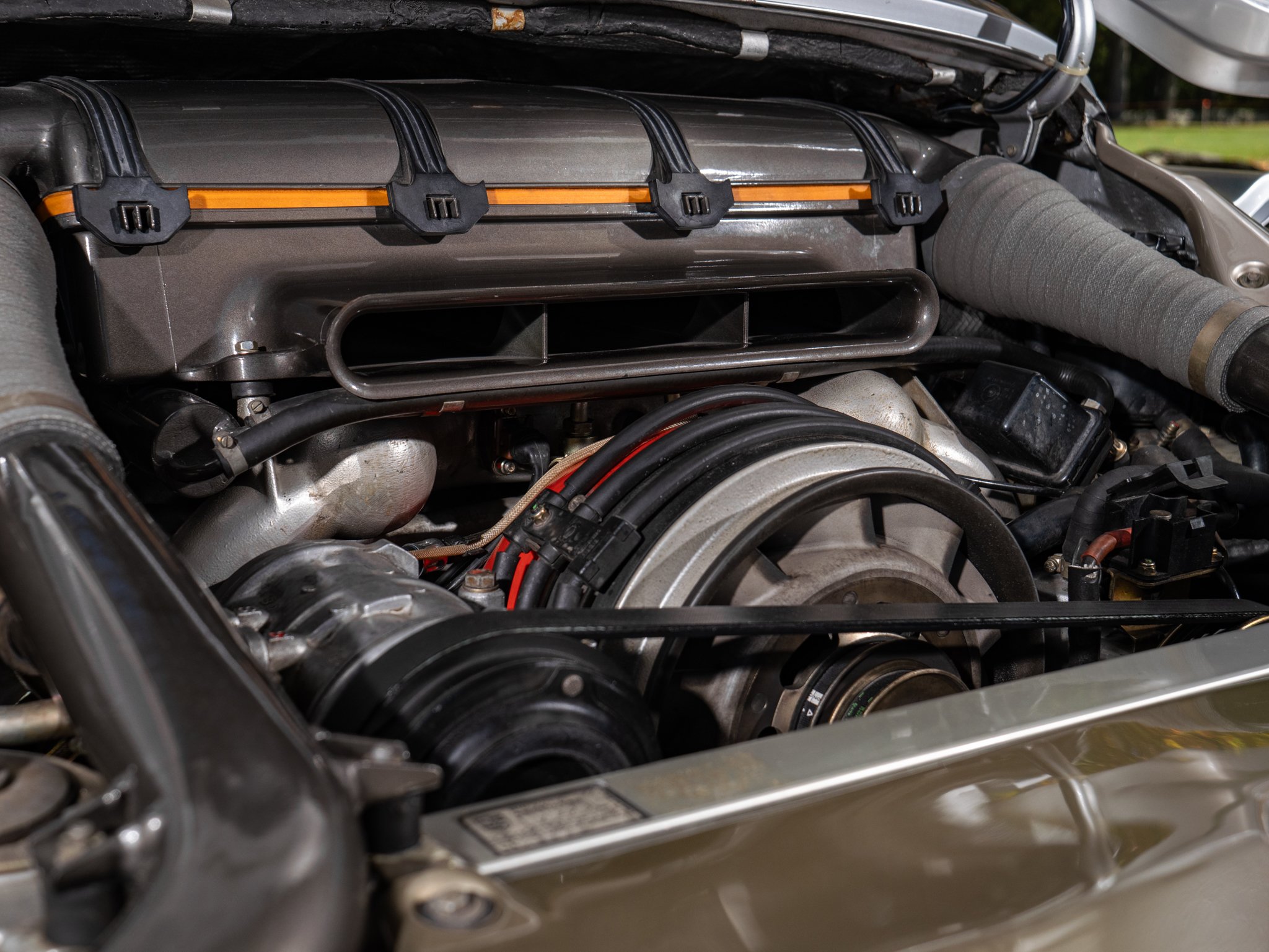 959 (249).jpg