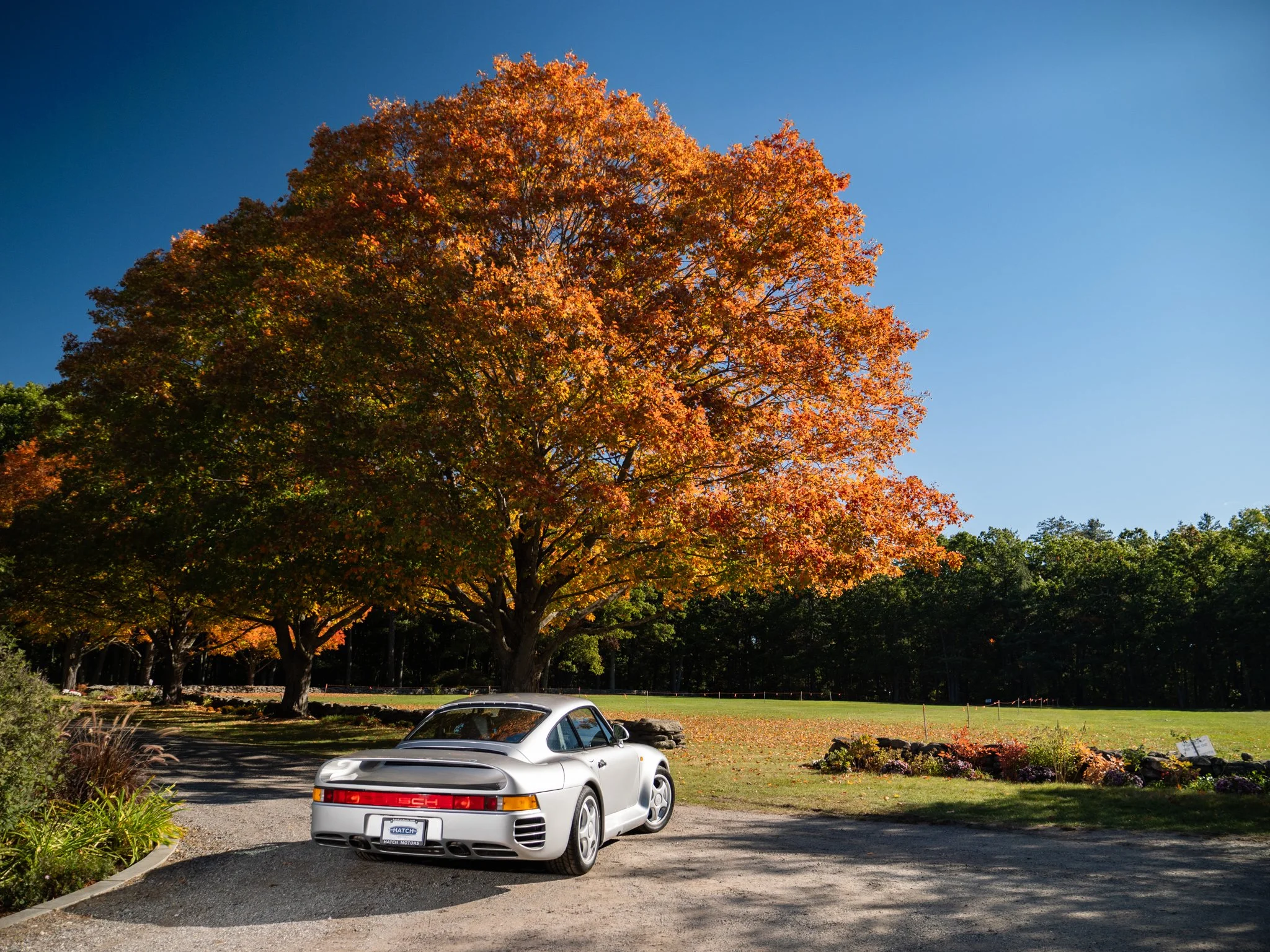 959 (12).jpg