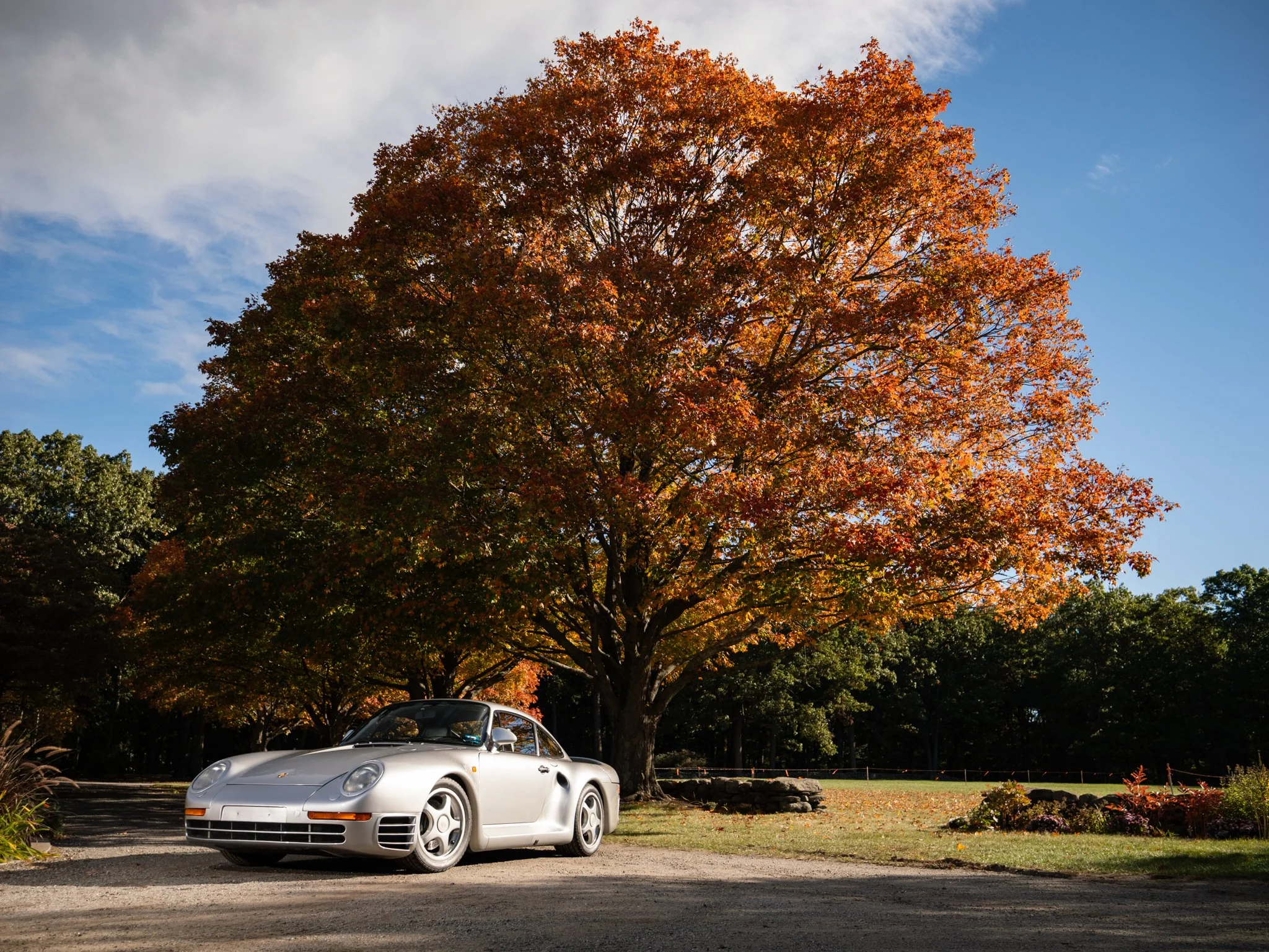 959 (10).jpg