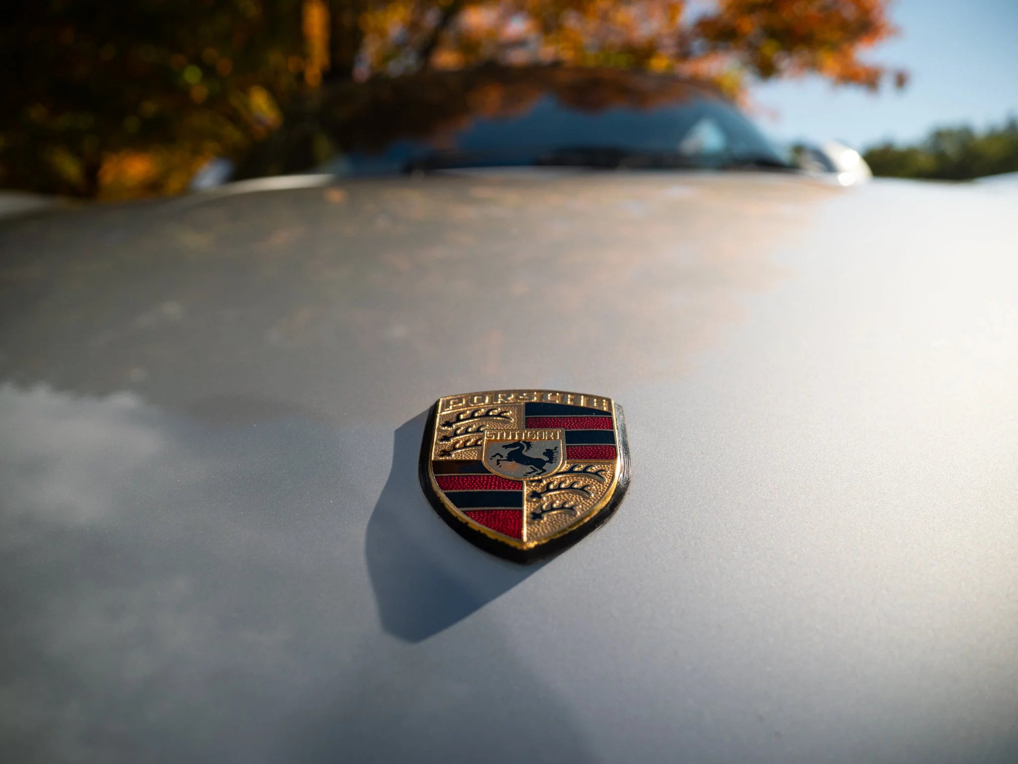 959 (49).jpg