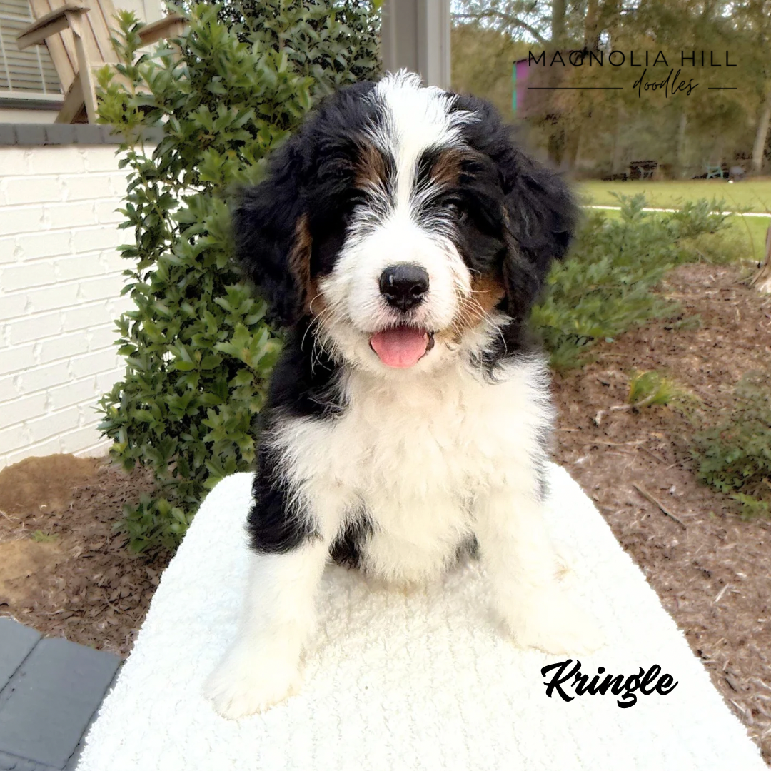 Santa's Helpers Eight Weeks - 9.PNG