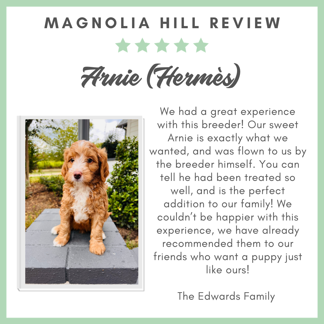 Copy of PUPPY ANNOUNCEMNT .png