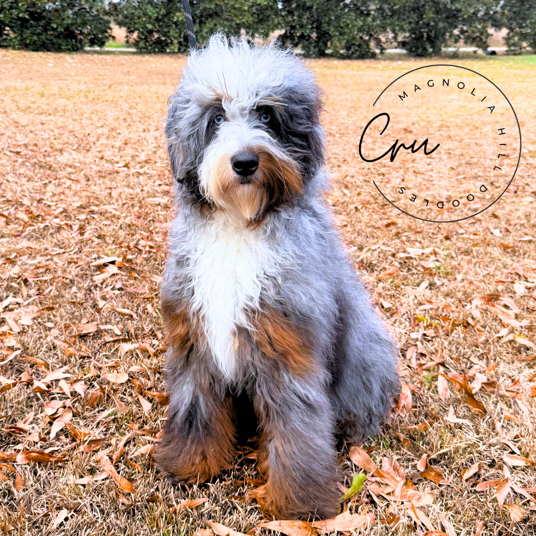 Our CrewMoms & Dads-14.png