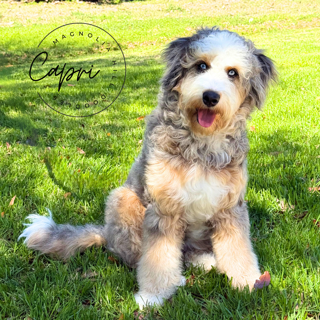 Our CrewMoms & Dads-13.png