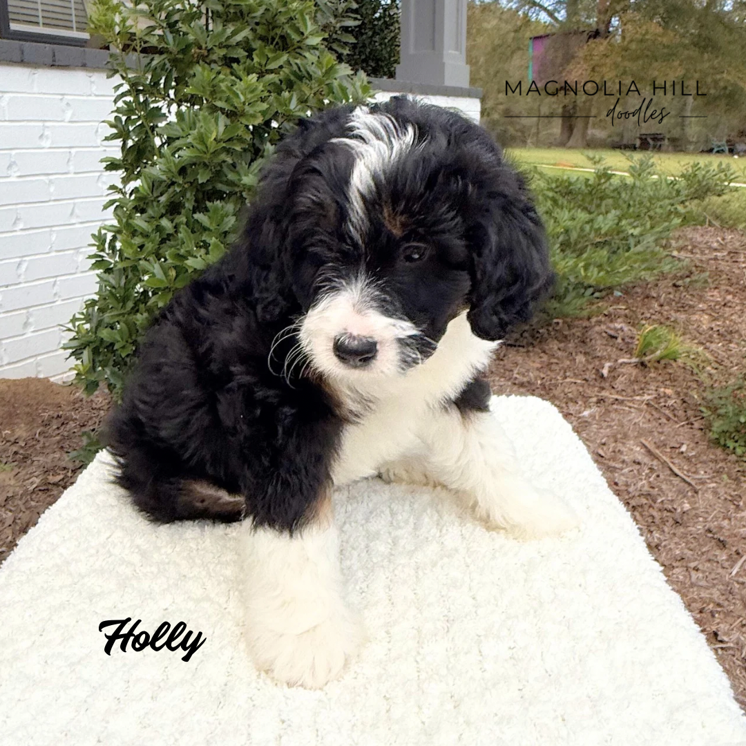 Santa's Helpers Eight Weeks - 8.PNG