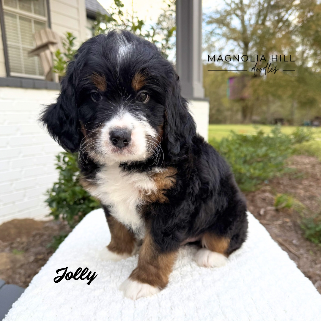 Santa's Helpers Eight Weeks - 2.PNG