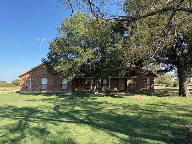 Brick house with a large tree in front, green grass yard, and a clear blue sky.