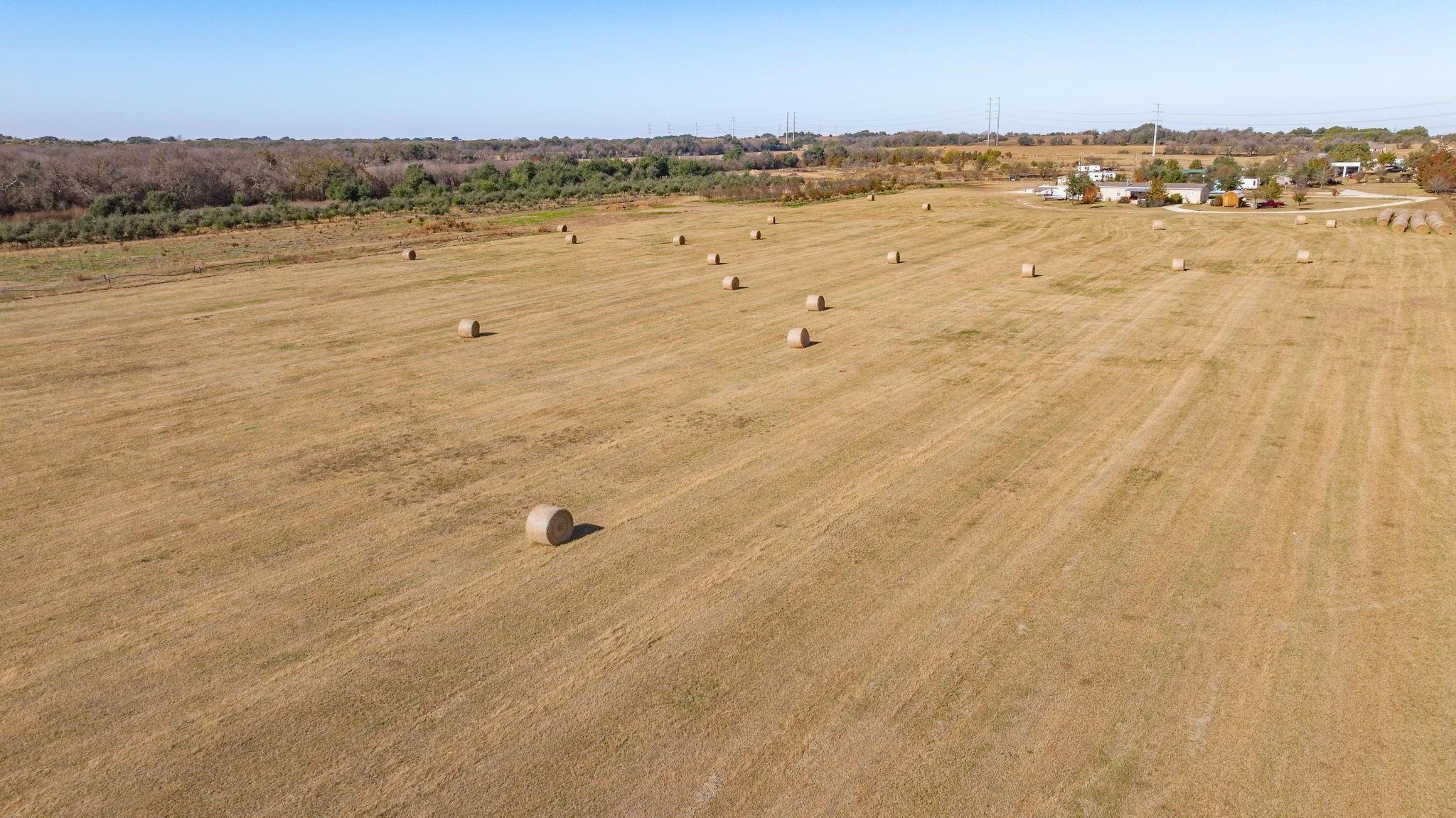 A wide open farmland field with numerous round hay bales scattered across it, and a farm with multiple buildings and trees in the distance under a clear blue sky.