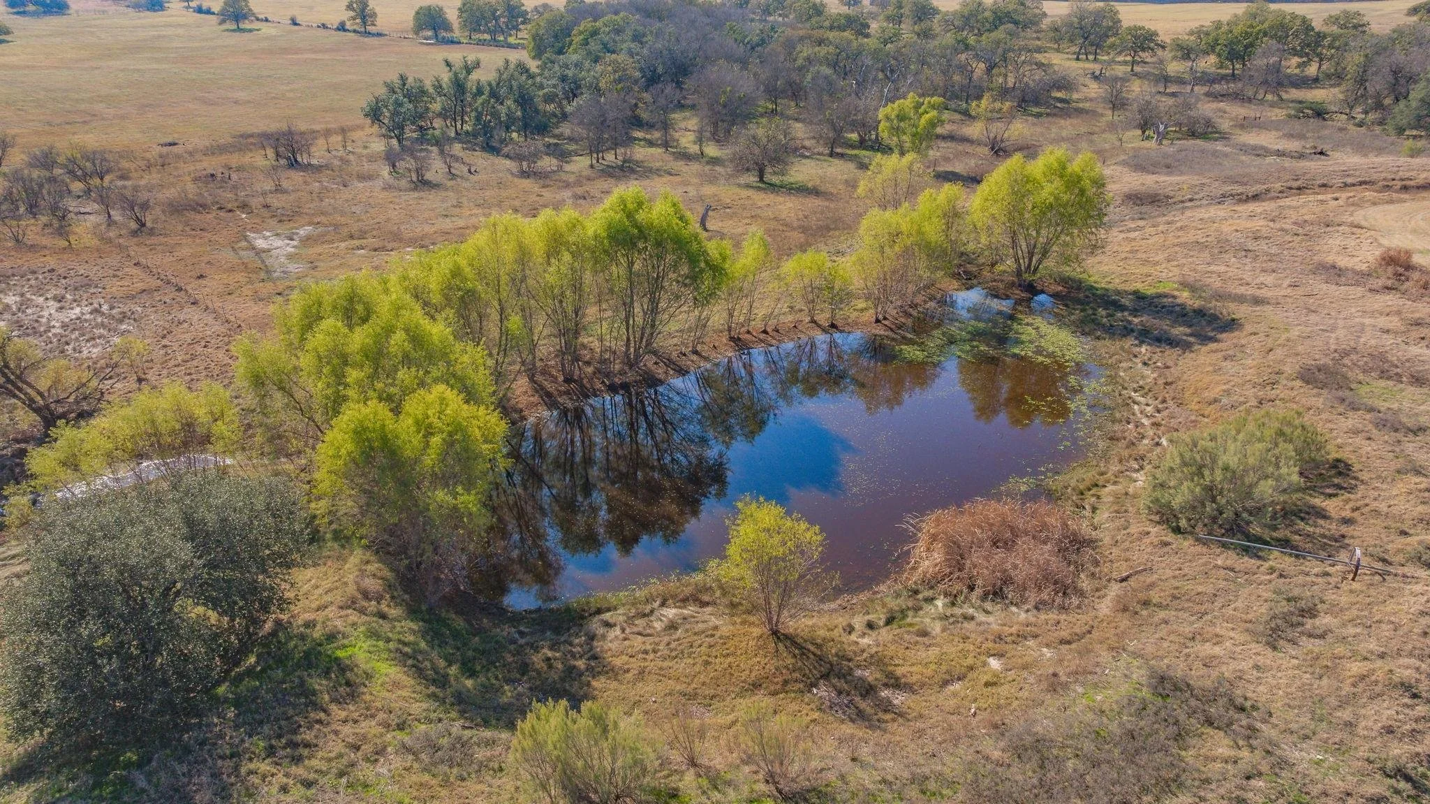 Aerial view of a small pond surrounded by trees with green leaves, in a dry, open landscape with scattered shrubs and grasses.