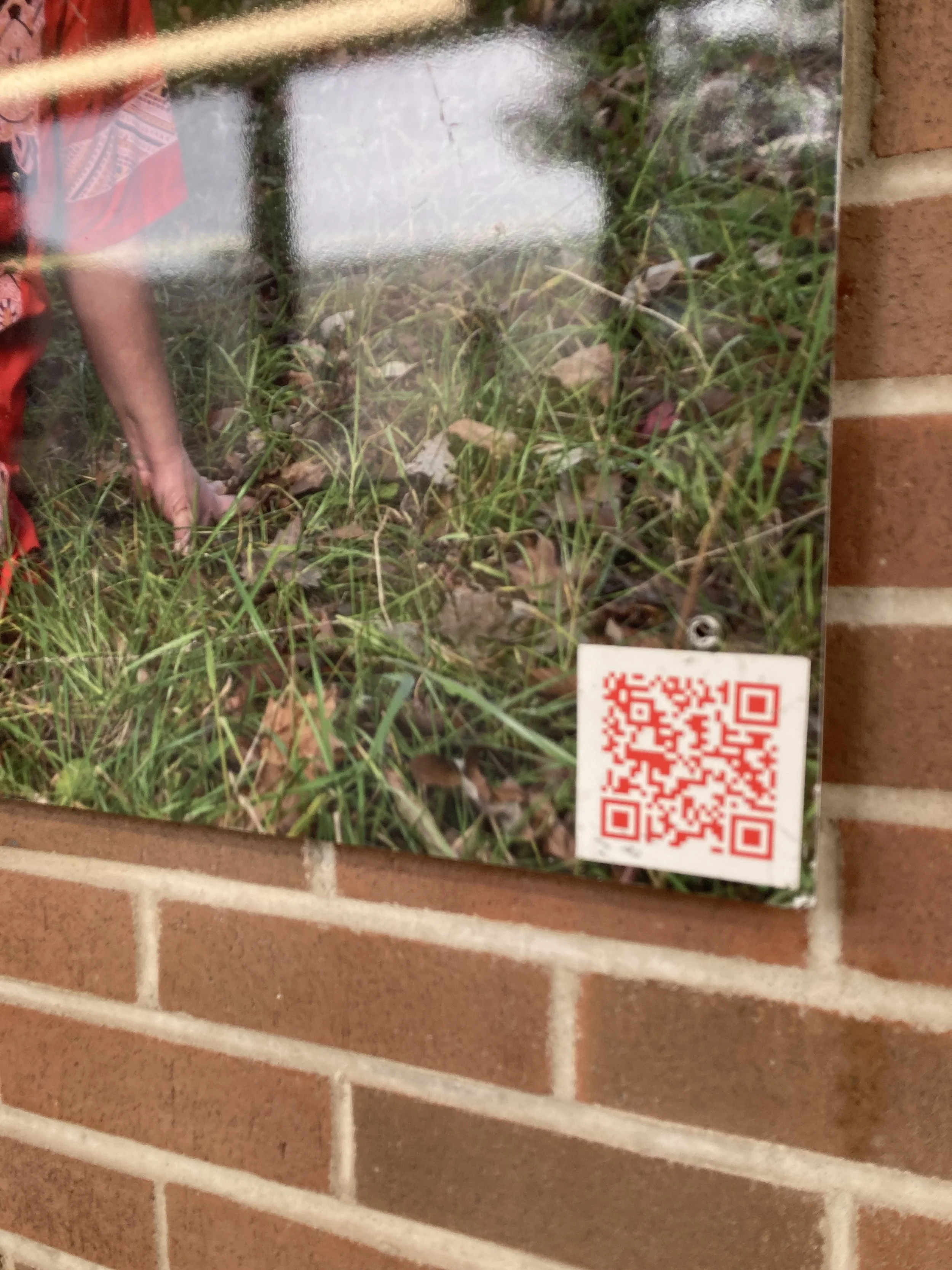 IMG_3428.JPG