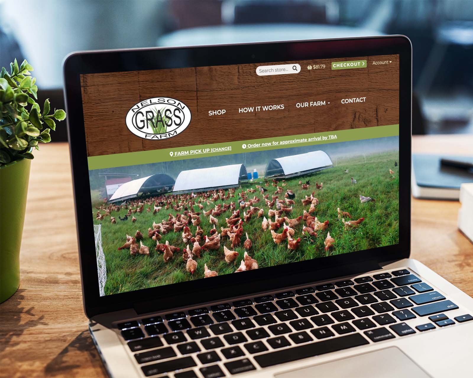 minnesota-farm-website-design.jpg