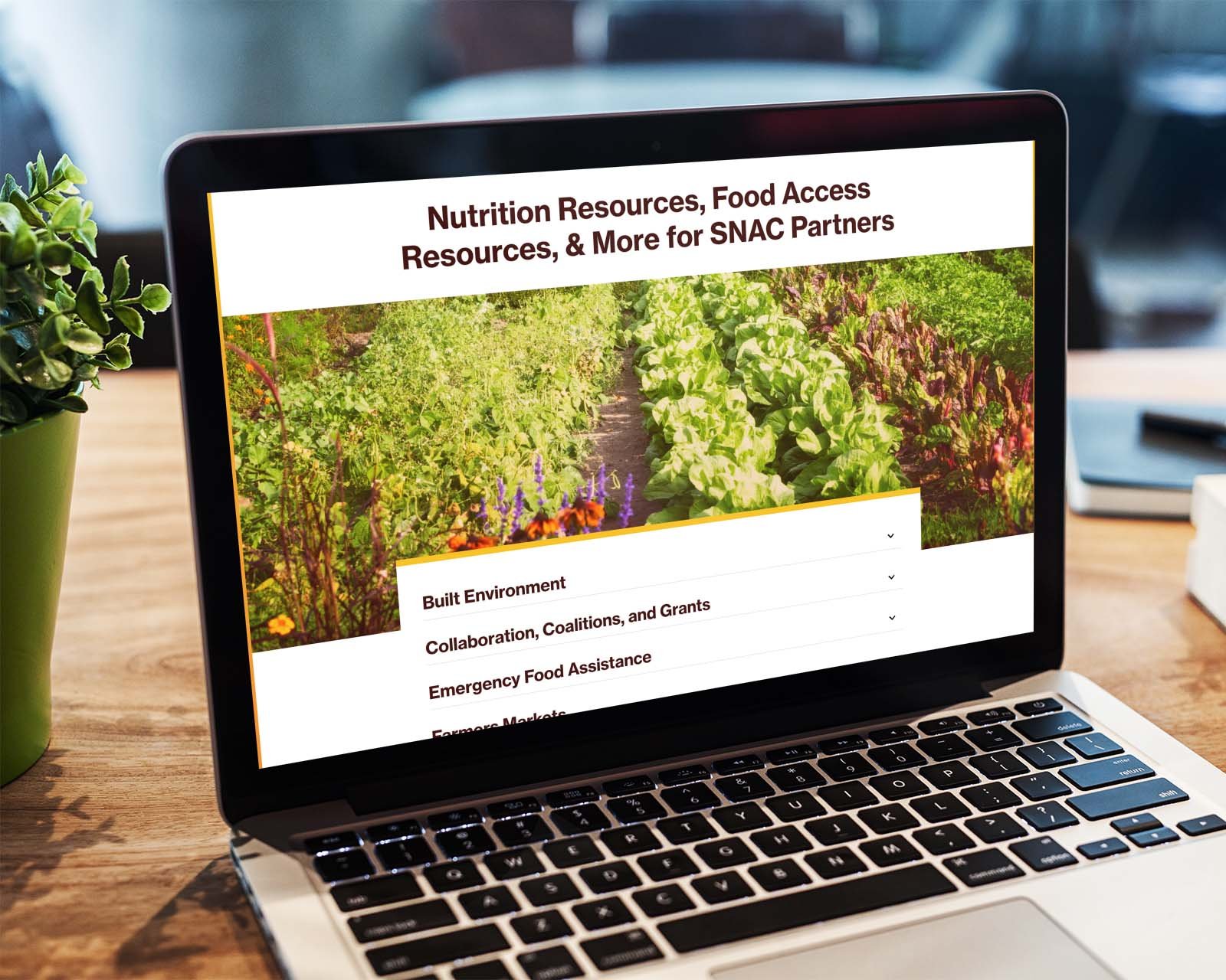 food-resource-hub-website.jpg