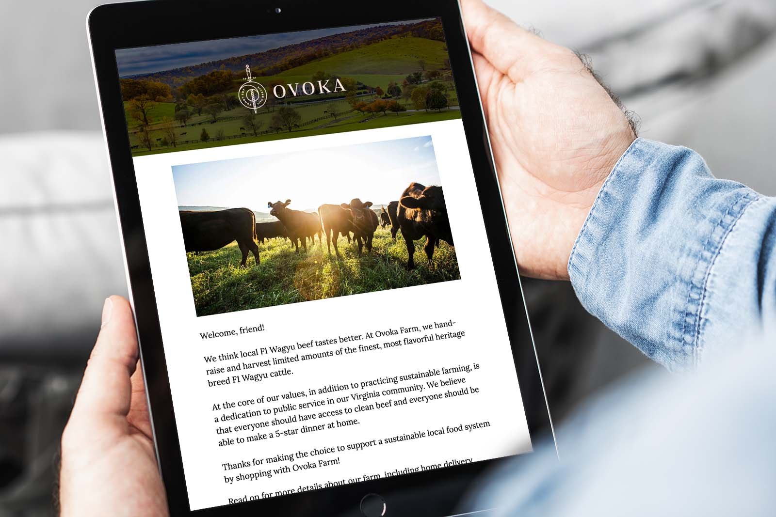 square-email-marketing-for-farms-1.jpg