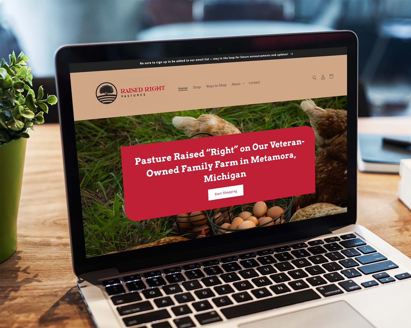 egg-farm-shopify-website-1.jpg
