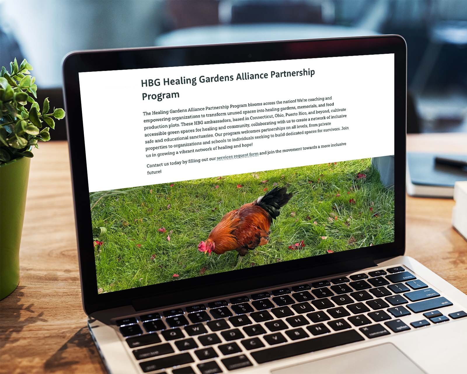 custom-squarespace-website-design-connecticut-2.jpg