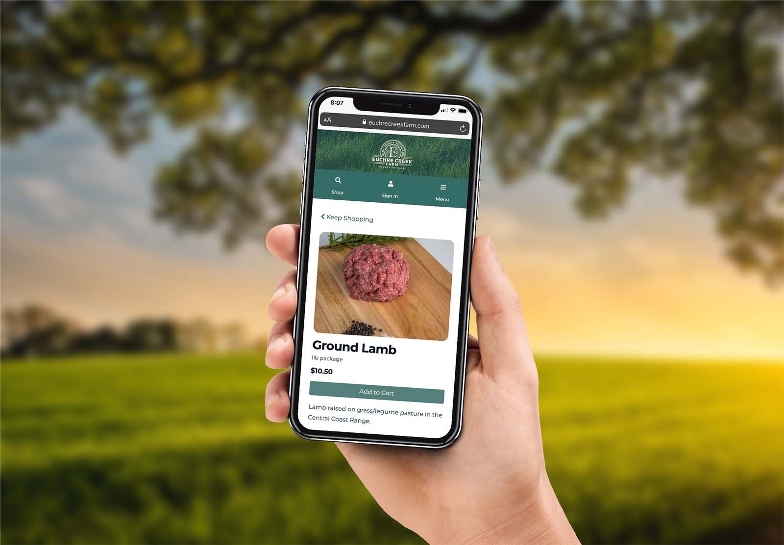 diy-farm-website-5.jpg