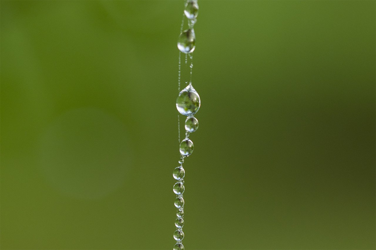 Hanging by a Thread 2022