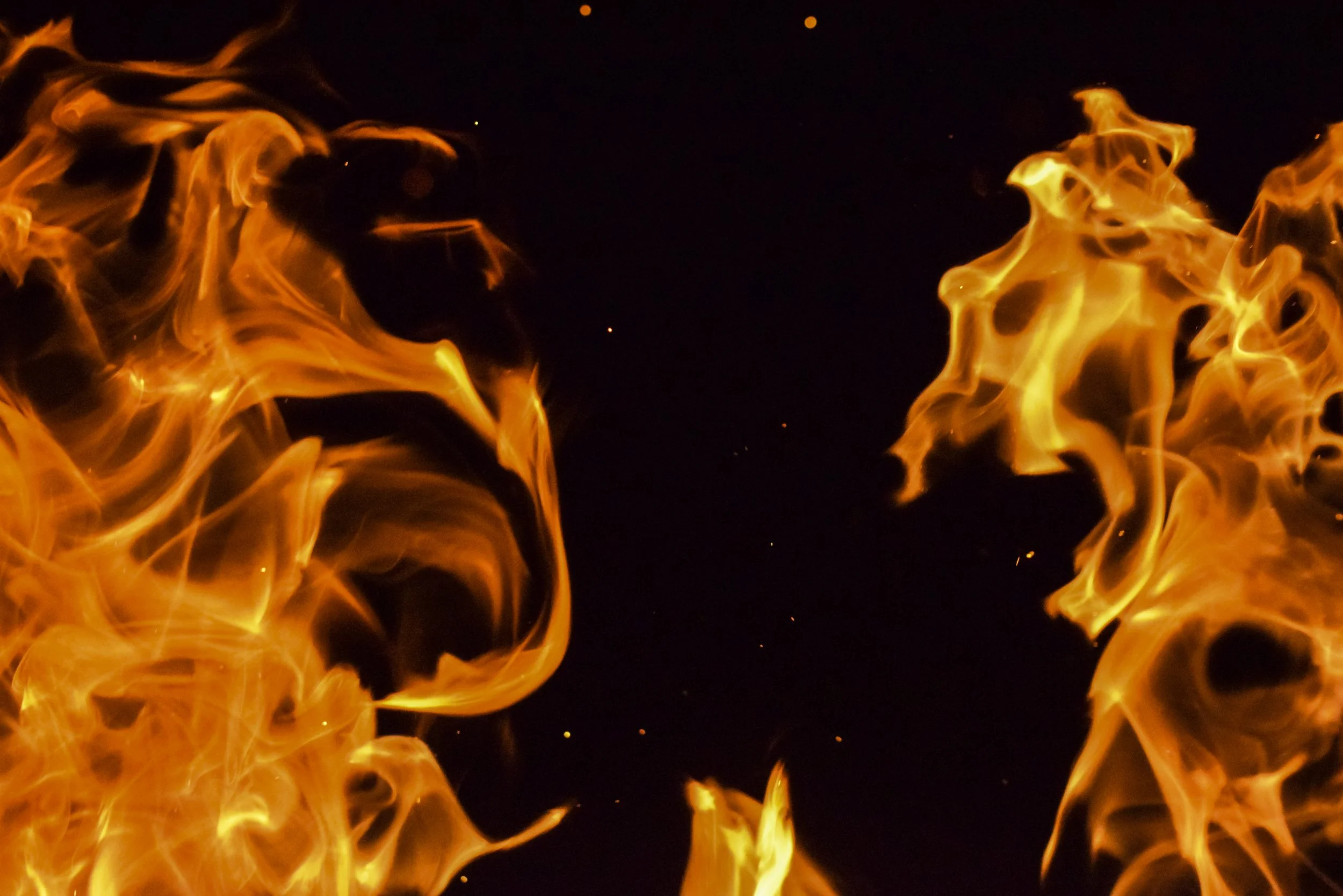 Feeding the Flame 2021