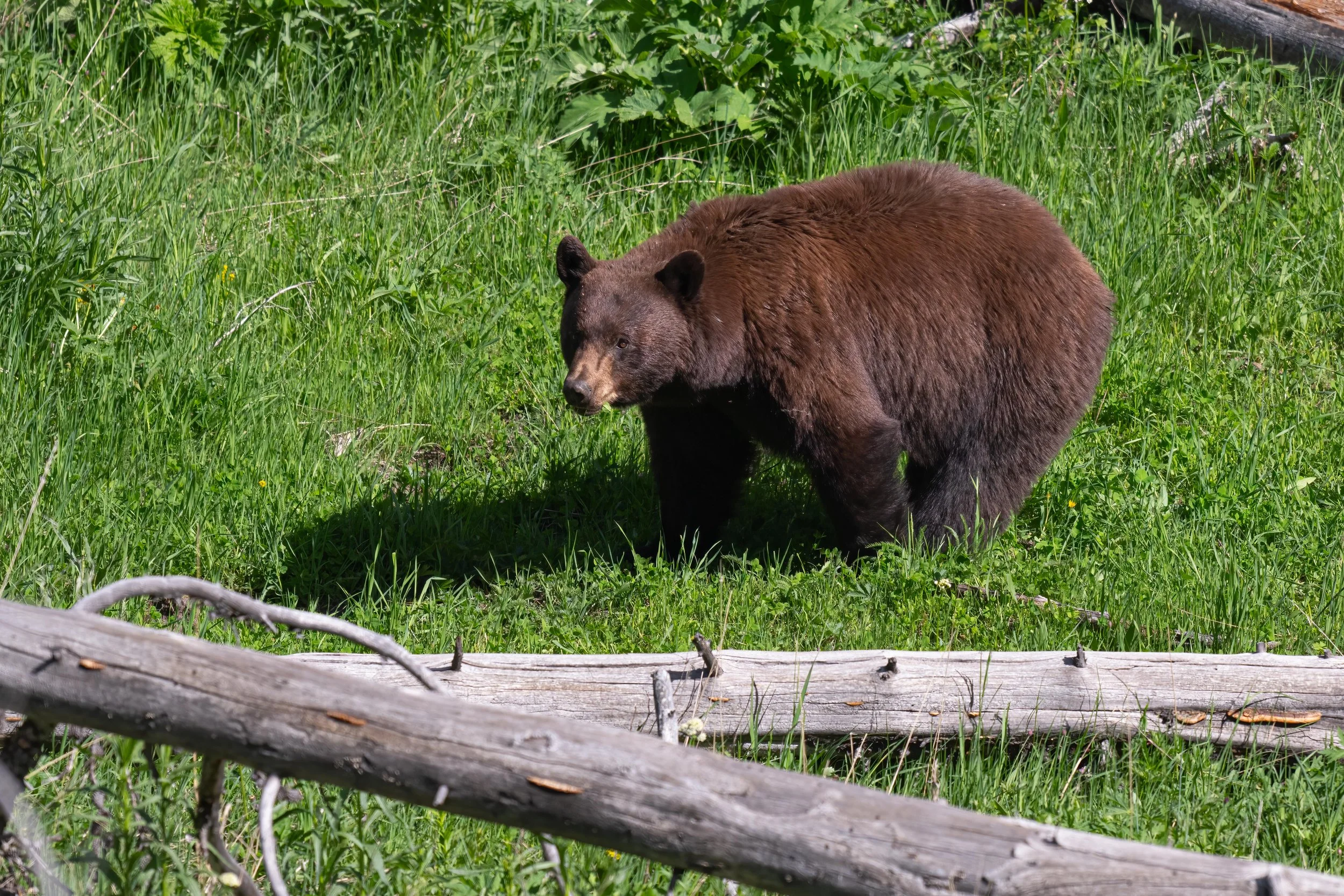 _DSC2059-Edit.jpg