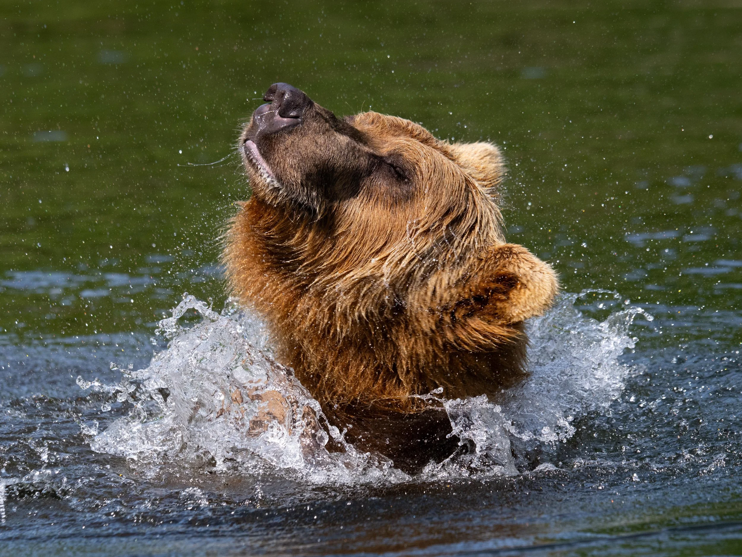 DSC_7608.jpg