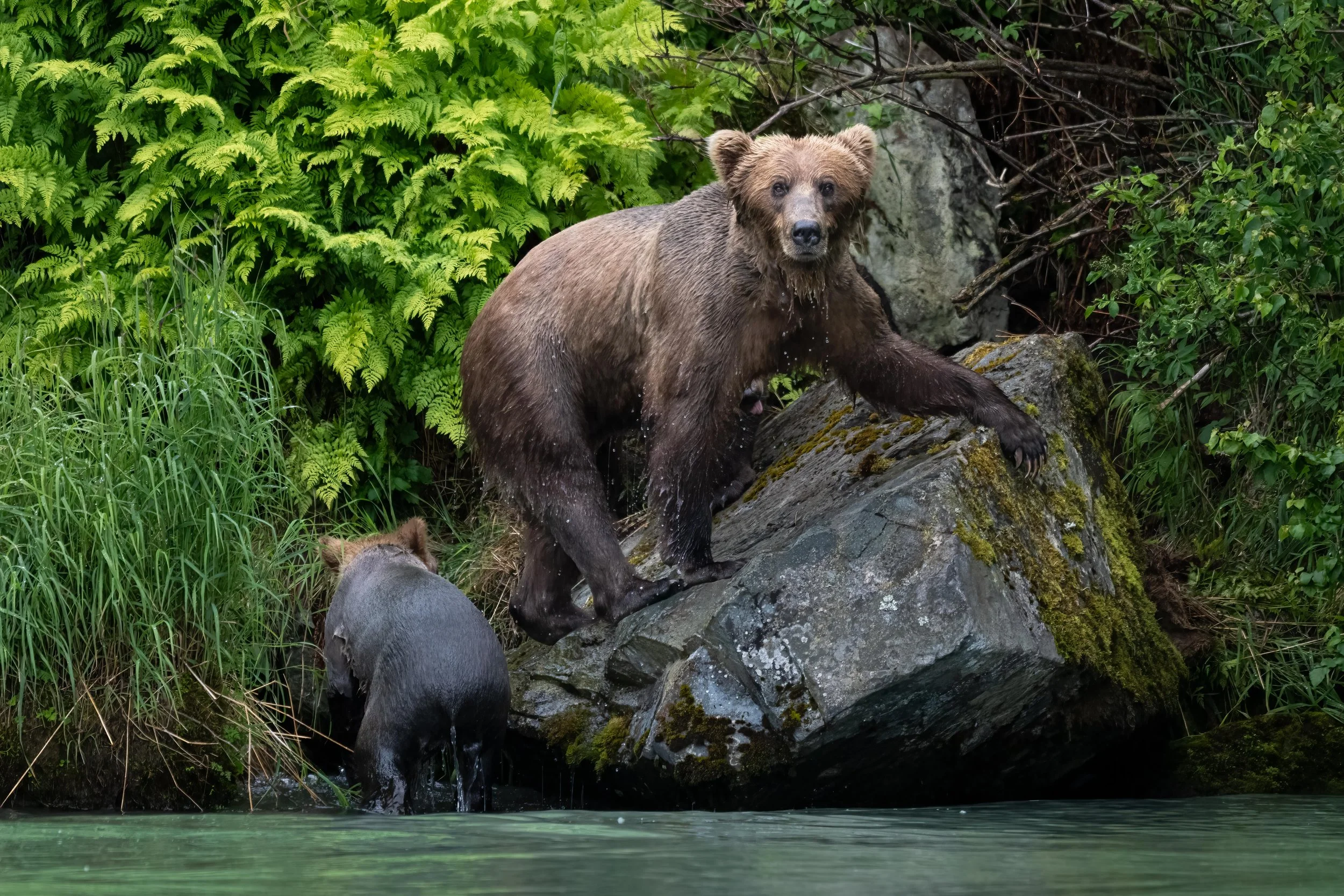 DSC_1421-Edit.jpg