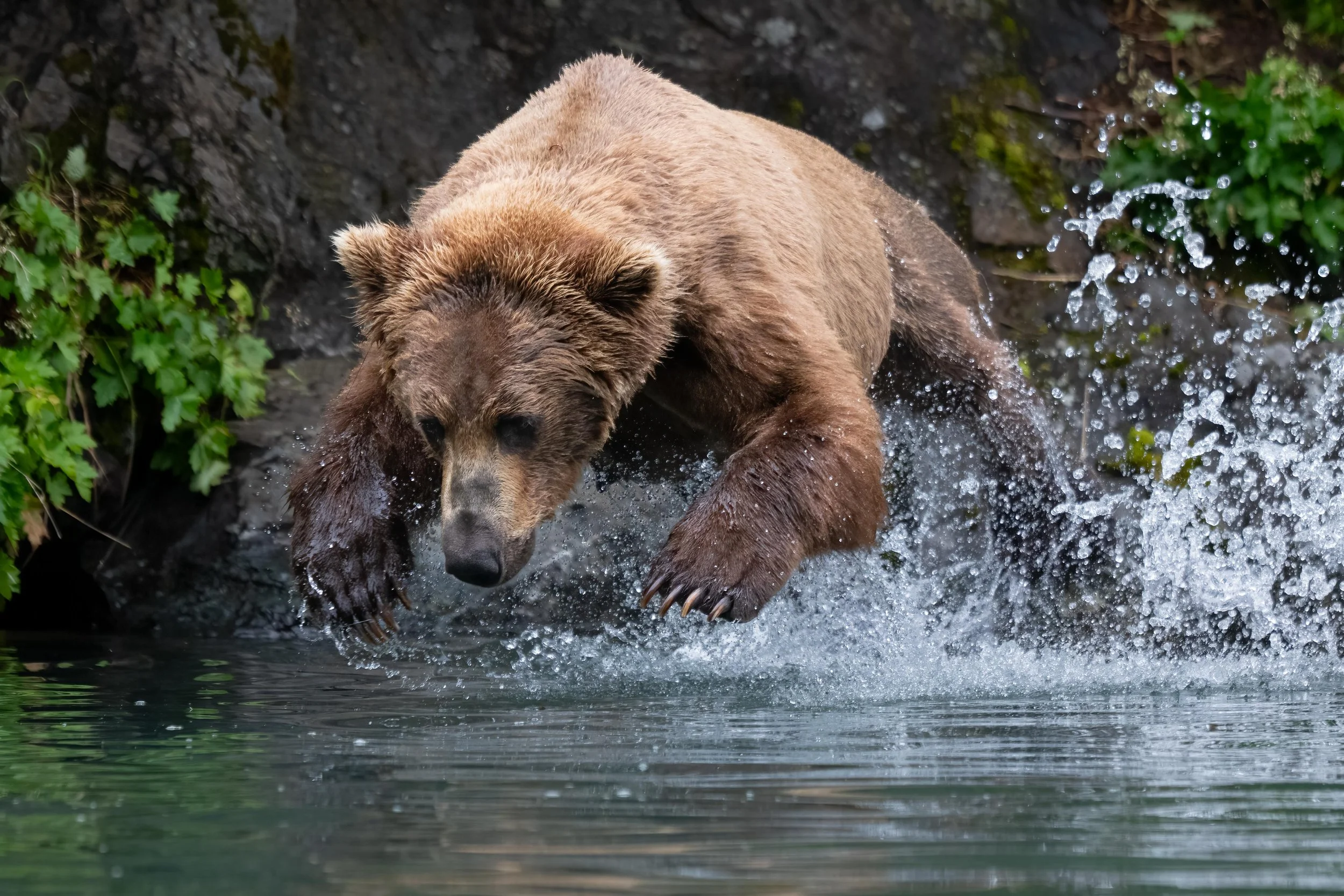 DSC_2882-Edit.jpg